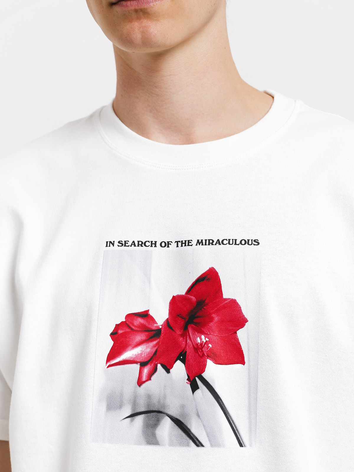 Tričko Polar Skate In Search Of The Miraculous (white)