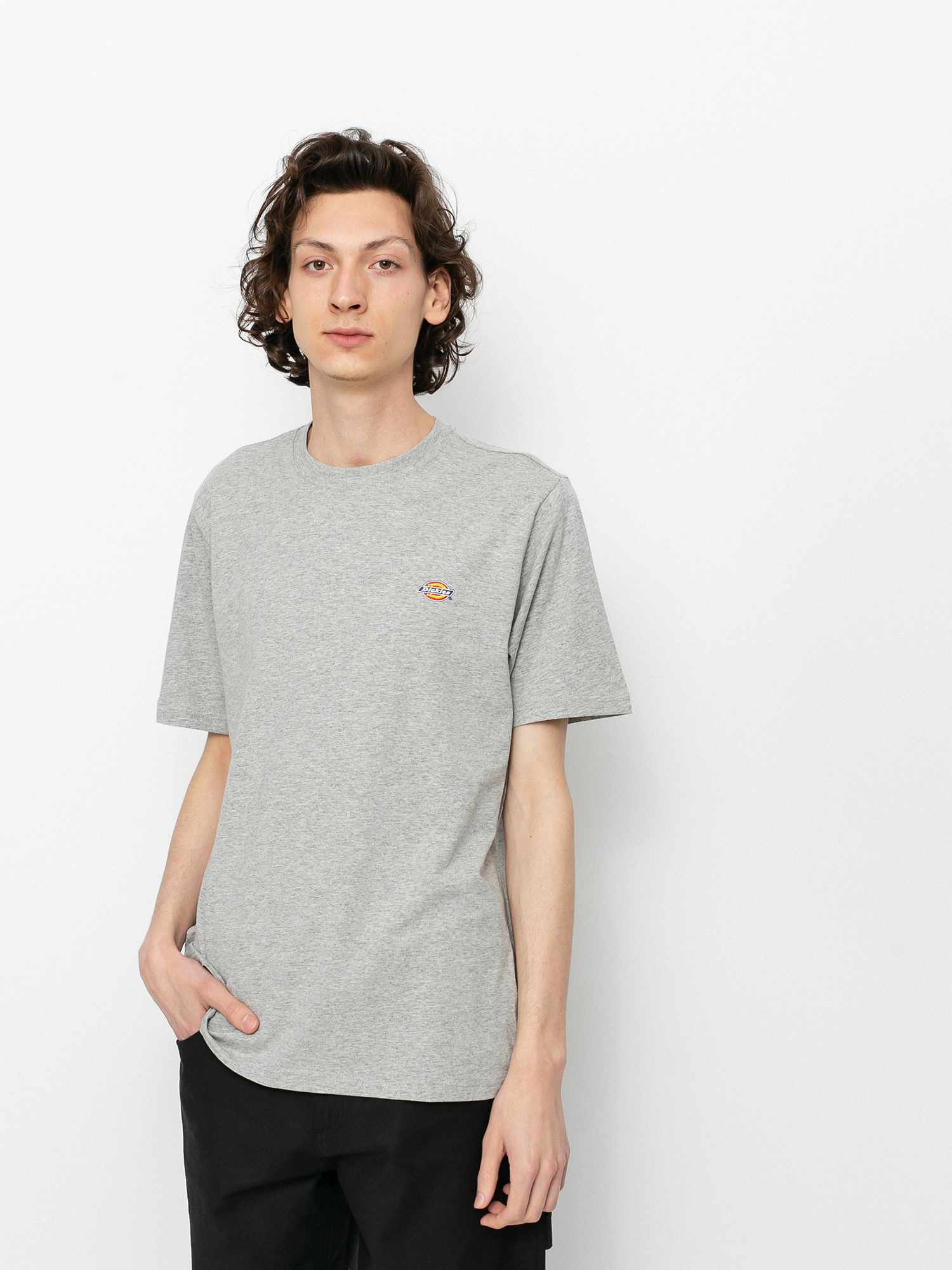 Triu010dko Dickies Mapleton (grey melange)