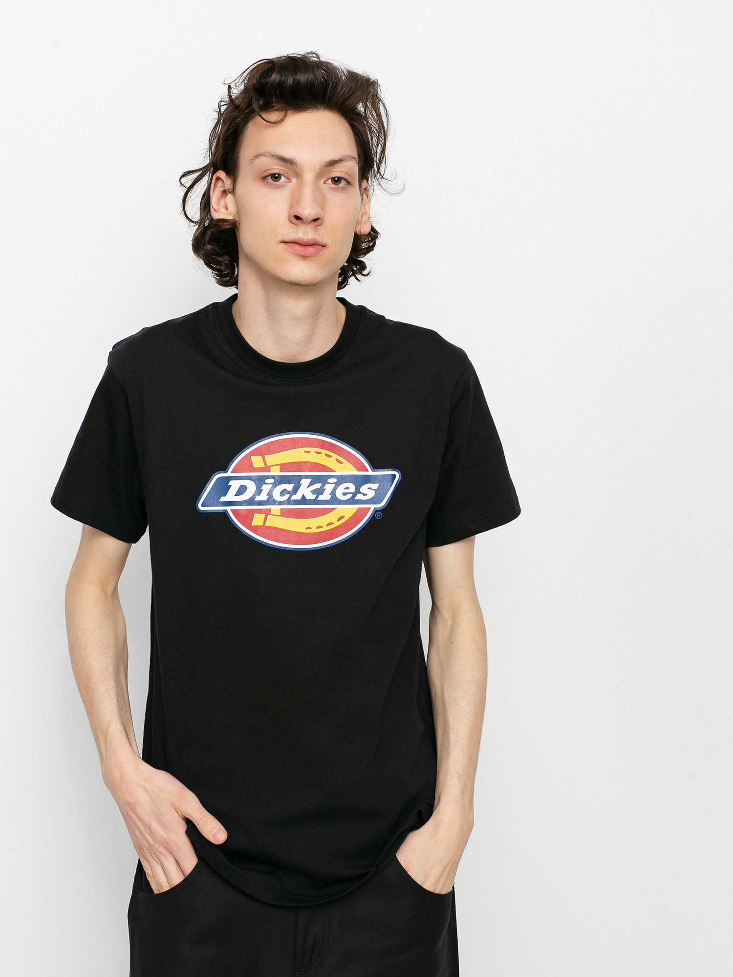Triu010dko Dickies Icon Logo (black)