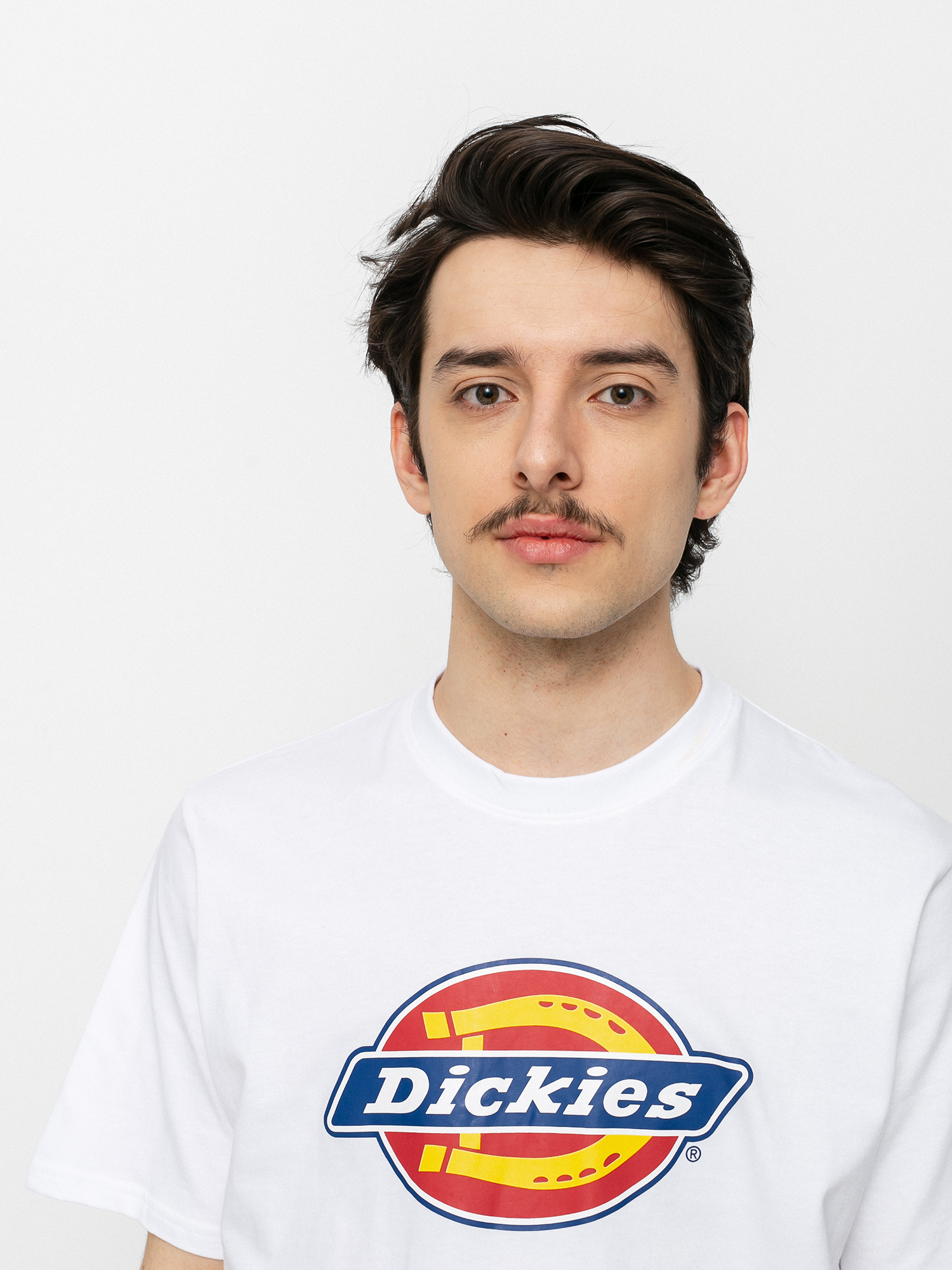 Tričko Dickies Icon Logo (white)