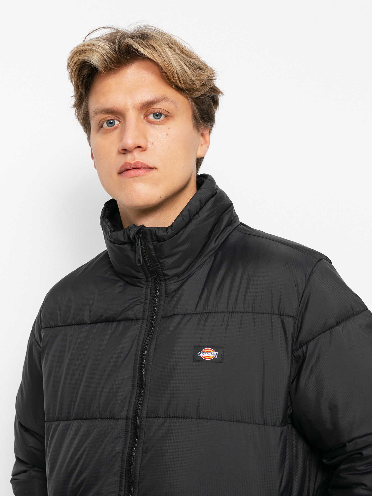 Bunda Dickies Waldenburg (black)