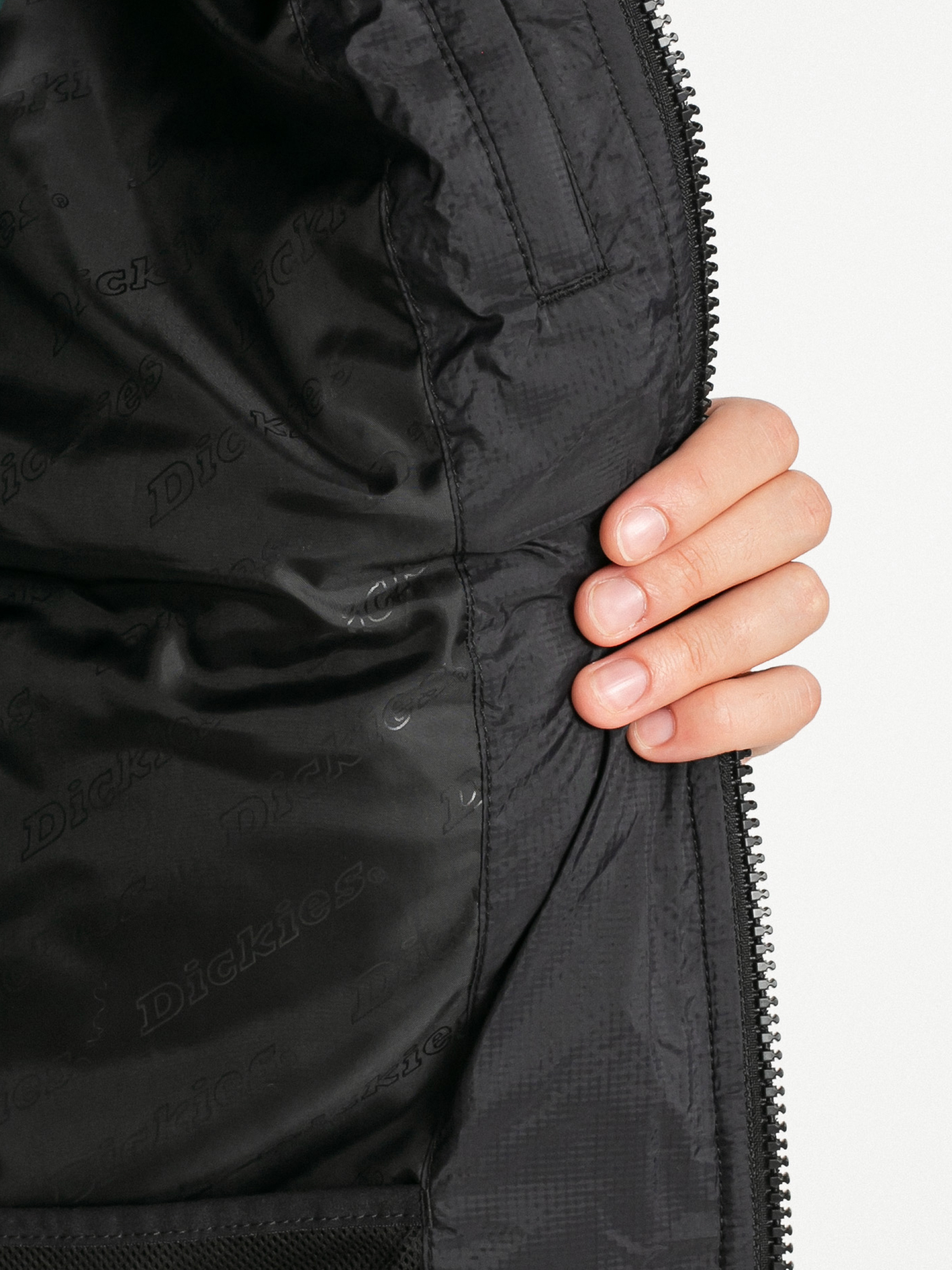 Bunda Dickies Waldenburg (black)
