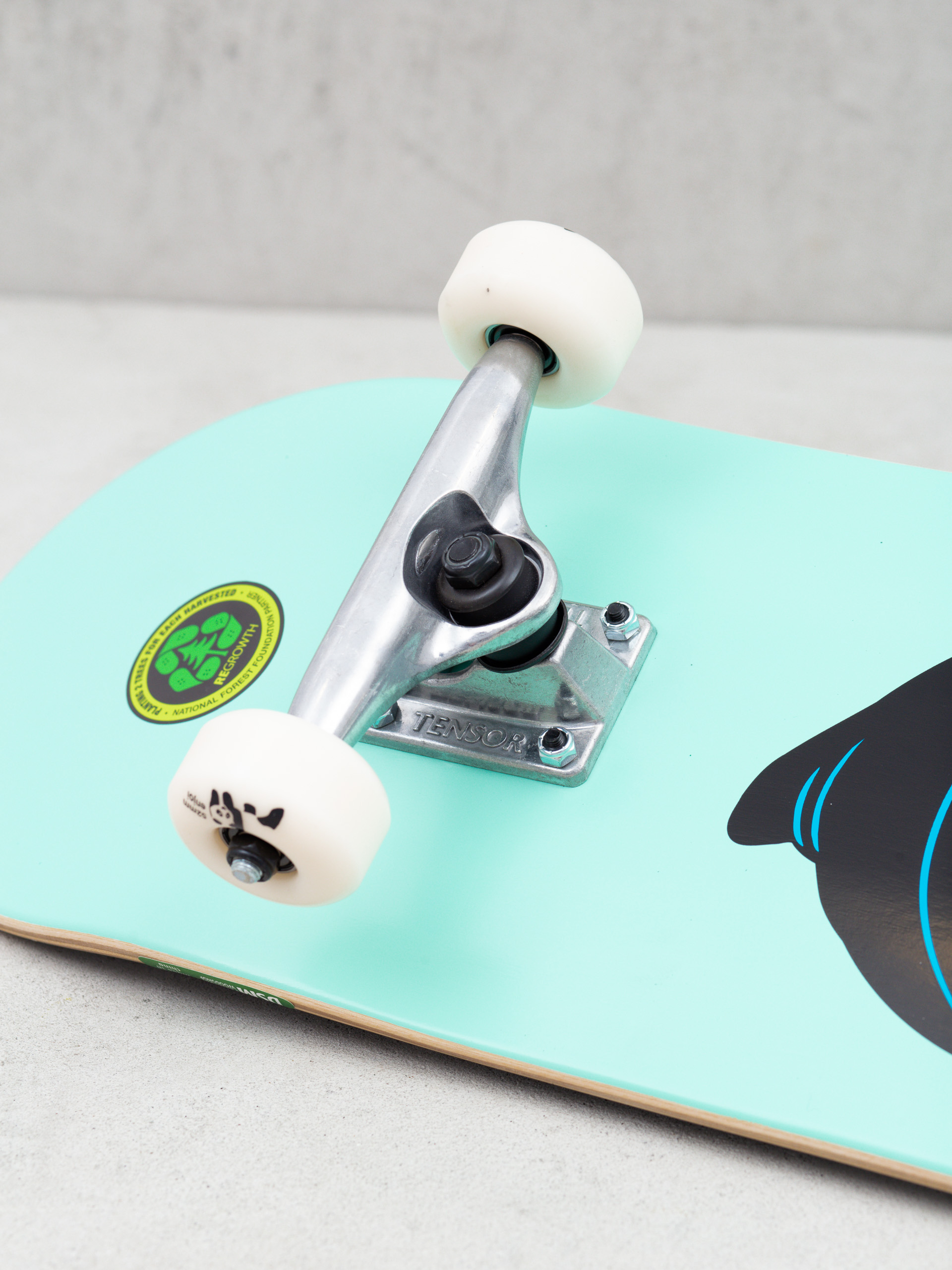 Skateboard Enjoi Creeper (mint)