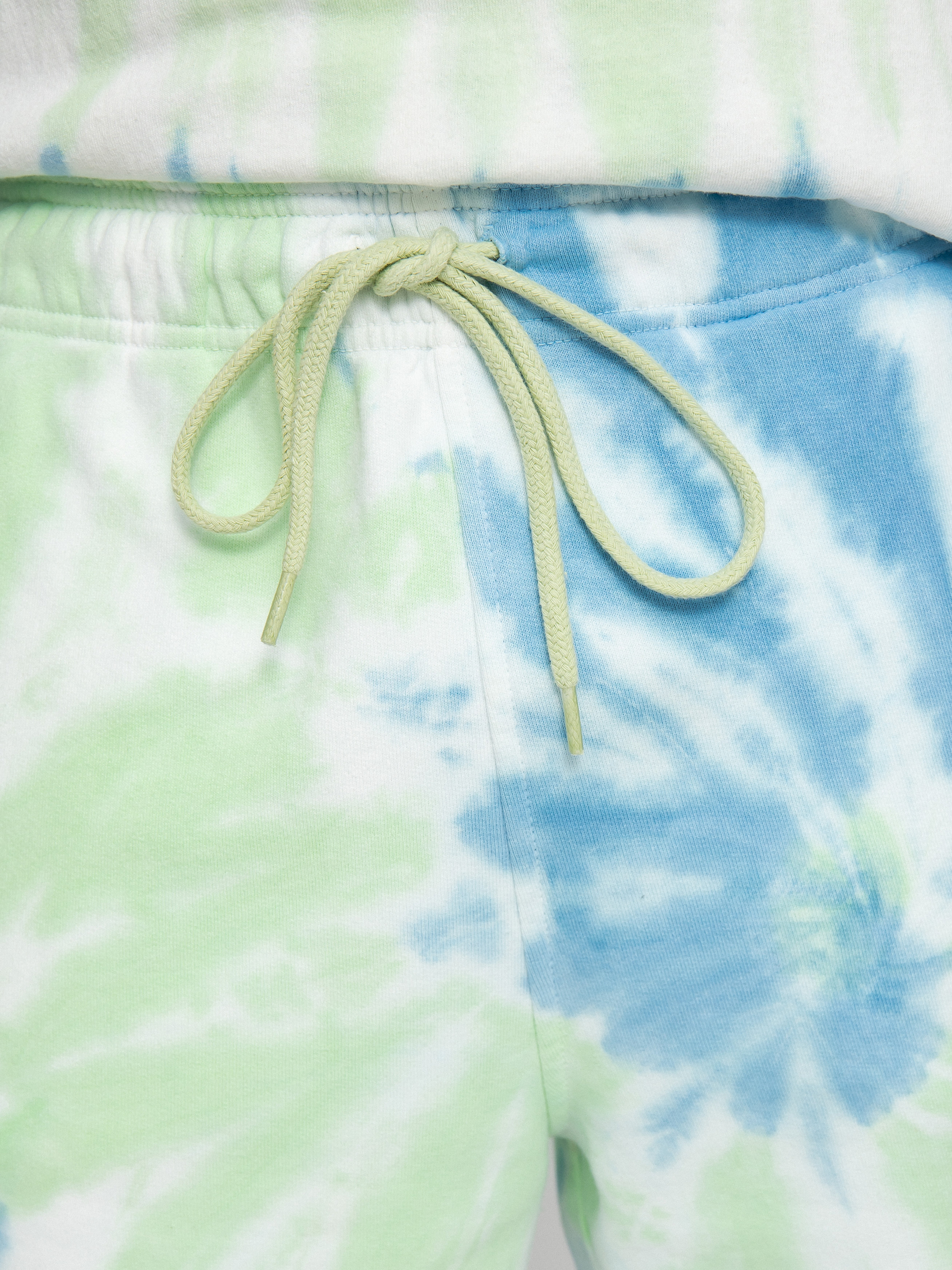 Kraťasy Dickies Seatac (celadon green)