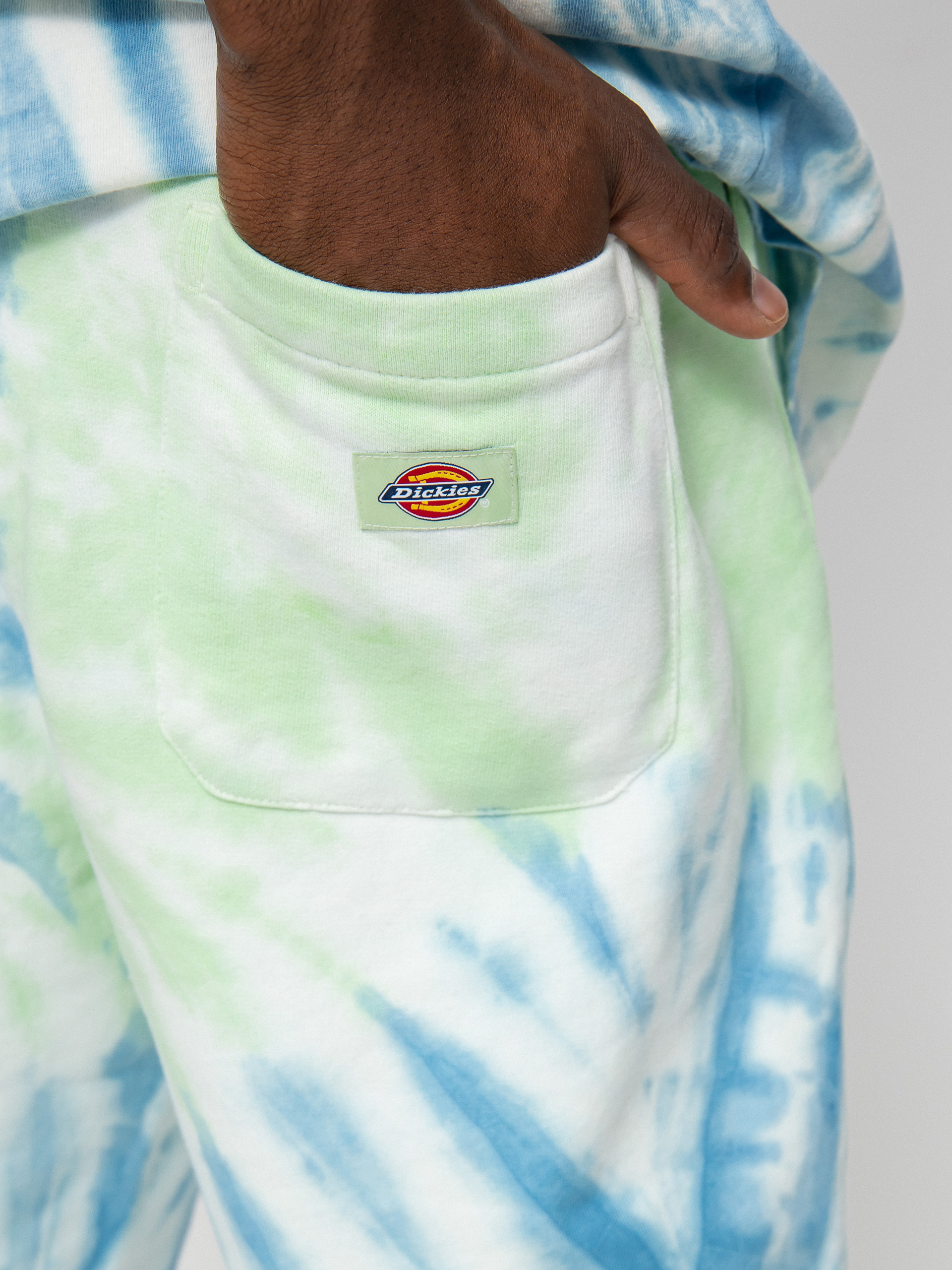 Kraťasy Dickies Seatac (celadon green)