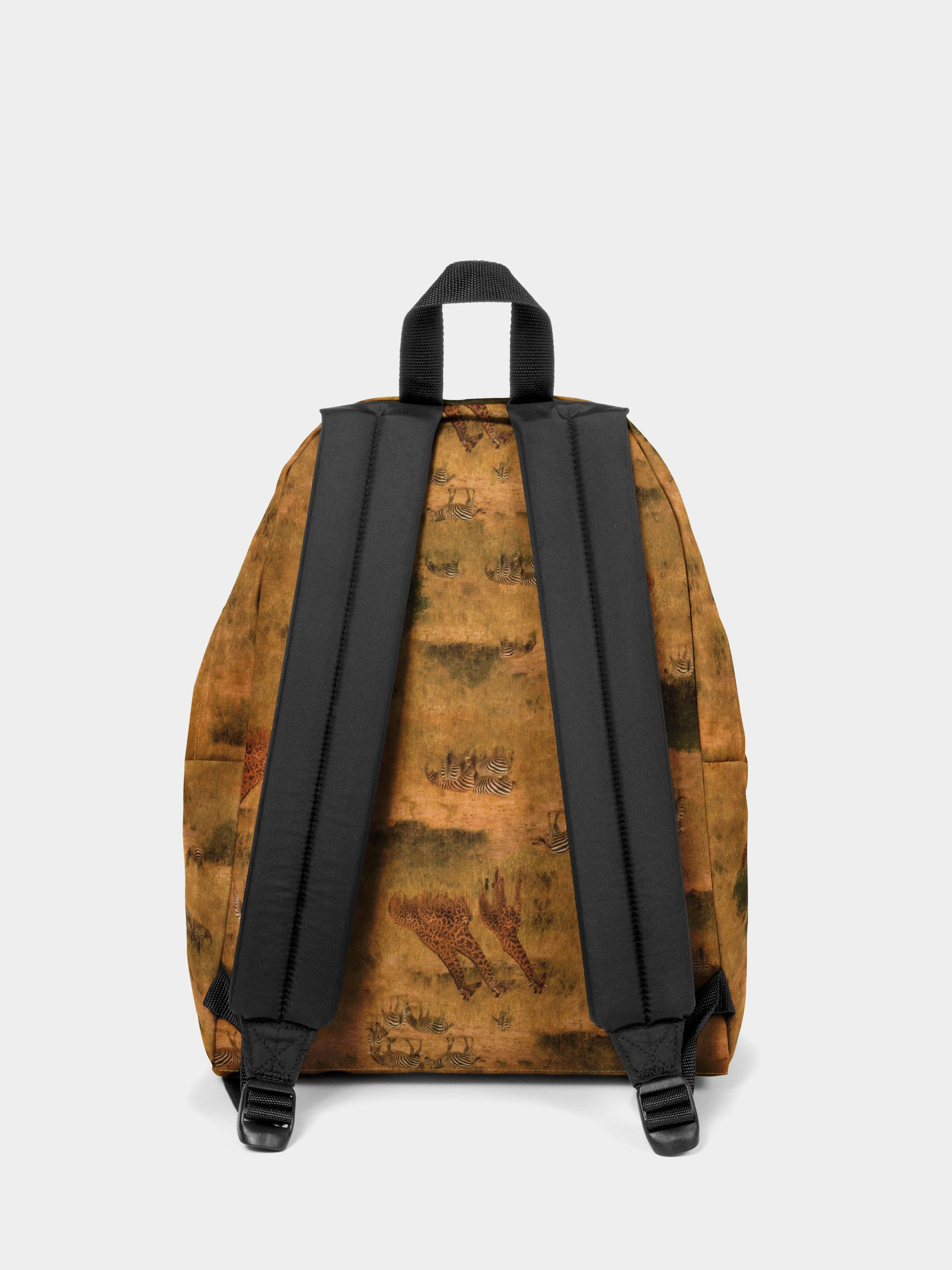 新品 Eastpak x National Geographic 日本未発売