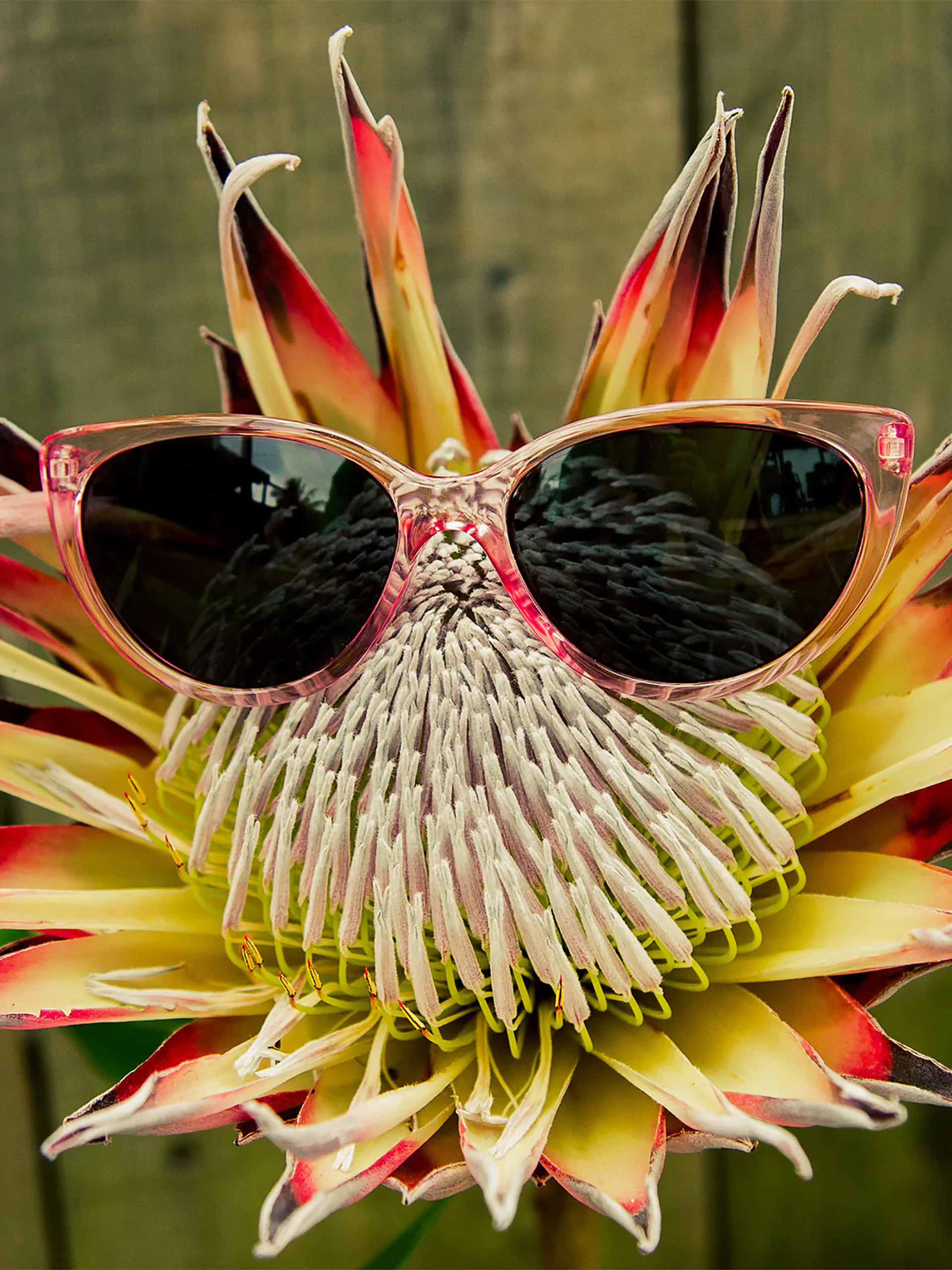 Slnečné okuliare Volcom Butter Wmn (crystal light pink/gray)