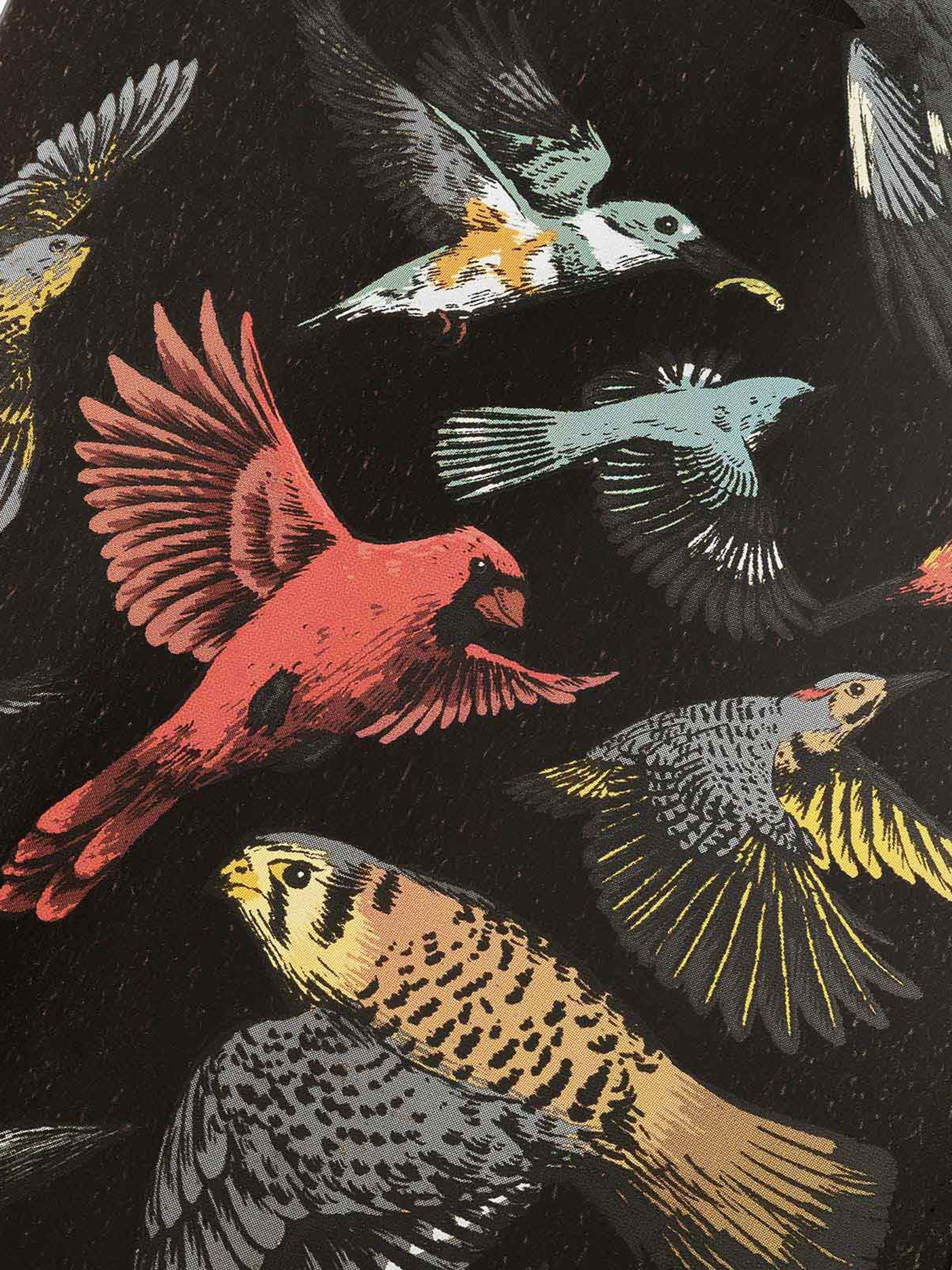 Longboard Landyachtz Stratus 46 (sanctuary)