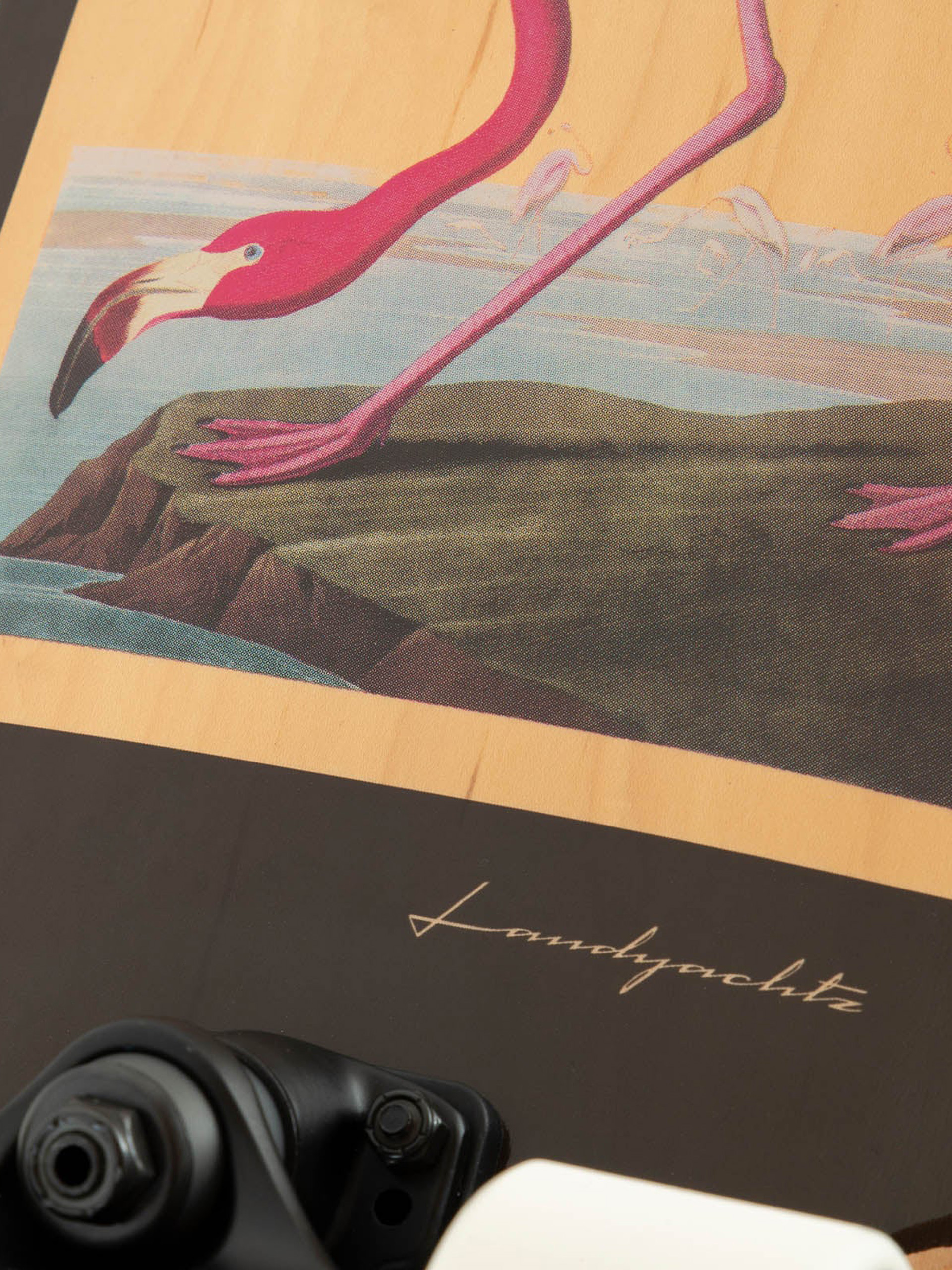 Cruiser Landyachtz Dinghy Blunt (flamingo)