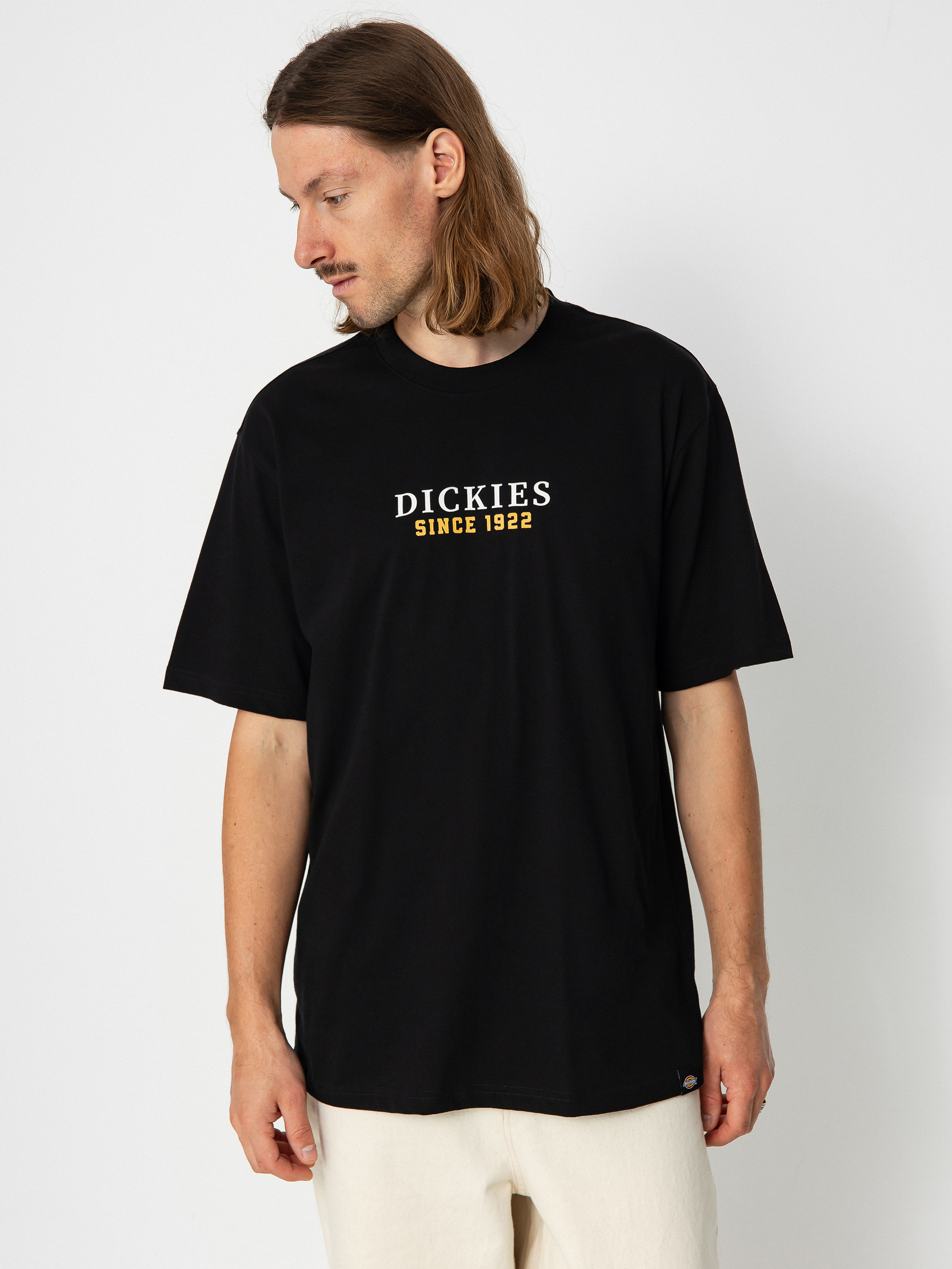 Tričko Dickies Park (black)