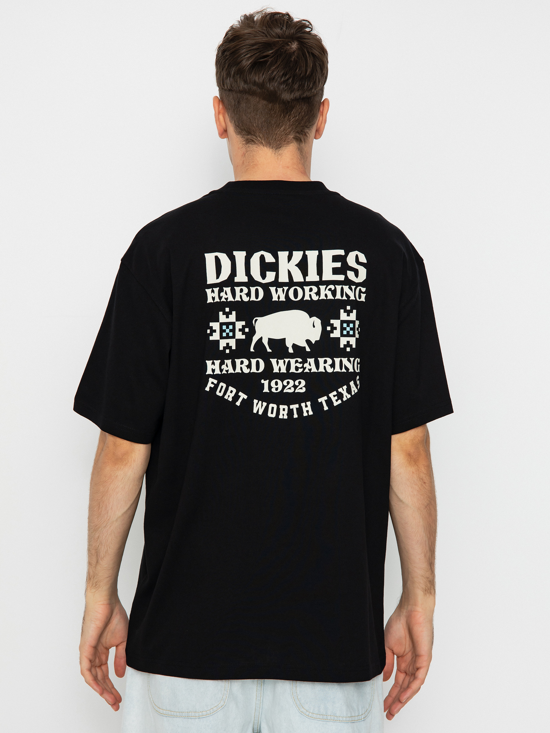 Tričko Dickies Hays (black)