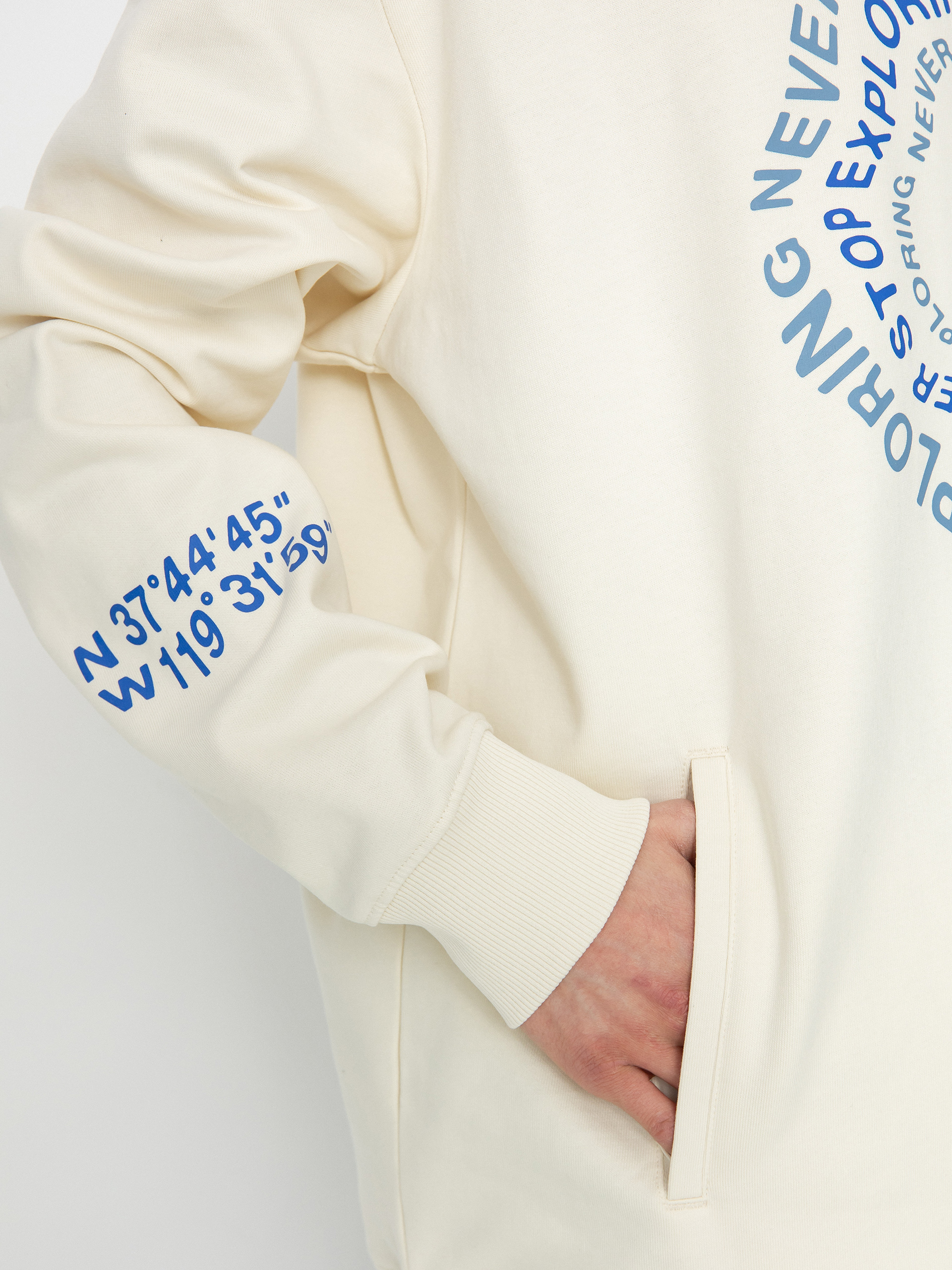 Mikina s kapucňou The North Face Nse Graphic HD (white dune)