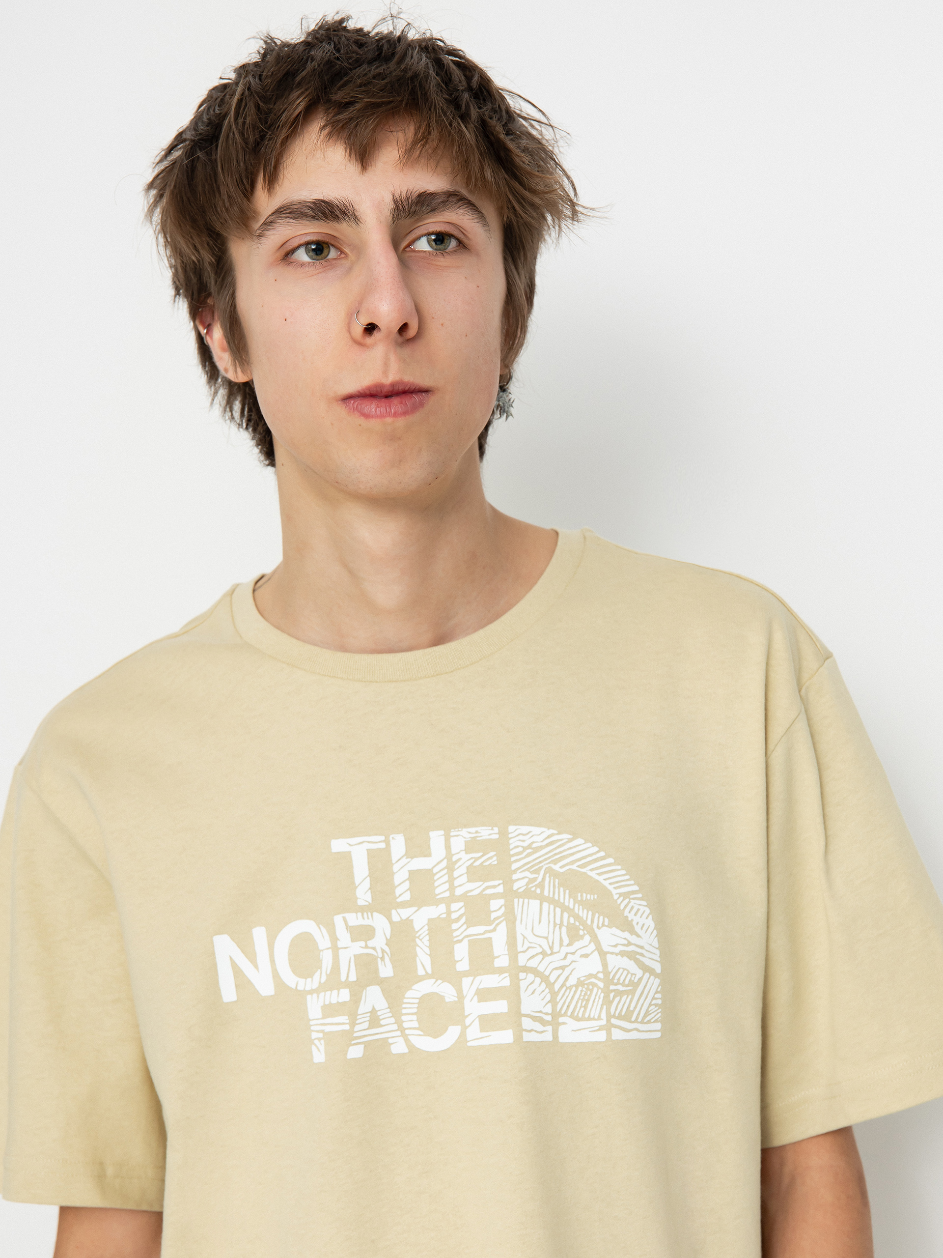 Tričko The North Face Woodcut Dome (gravel)