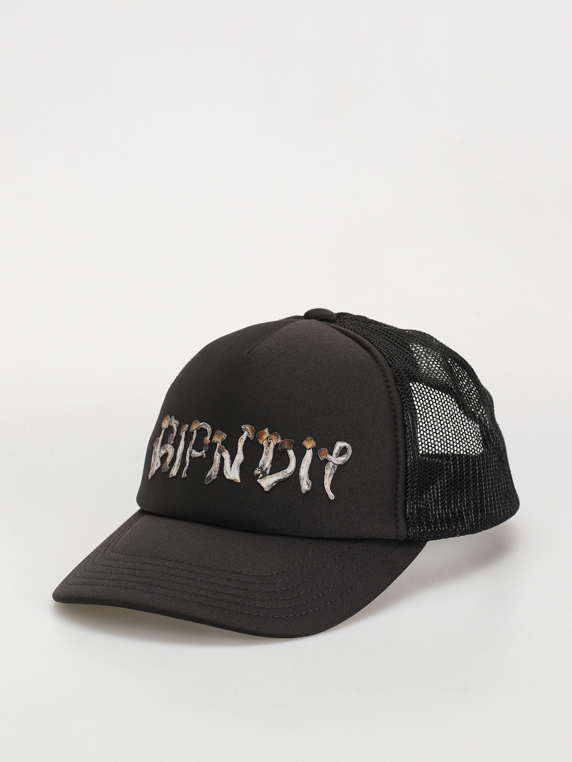 Šiltovka RipNDip Is This Real Life Trucker (black)