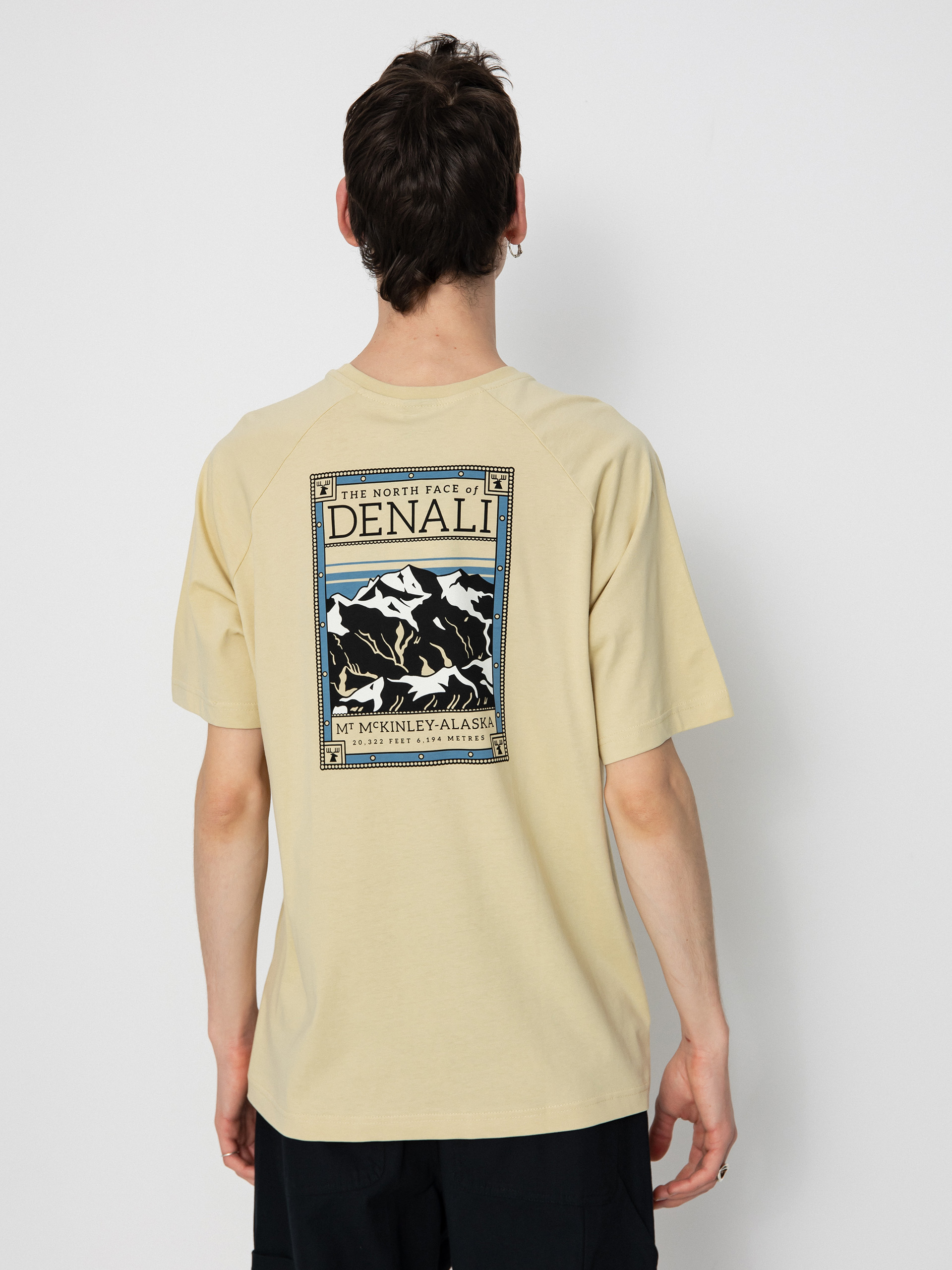 Triu010dko The North Face North Faces (gravel)