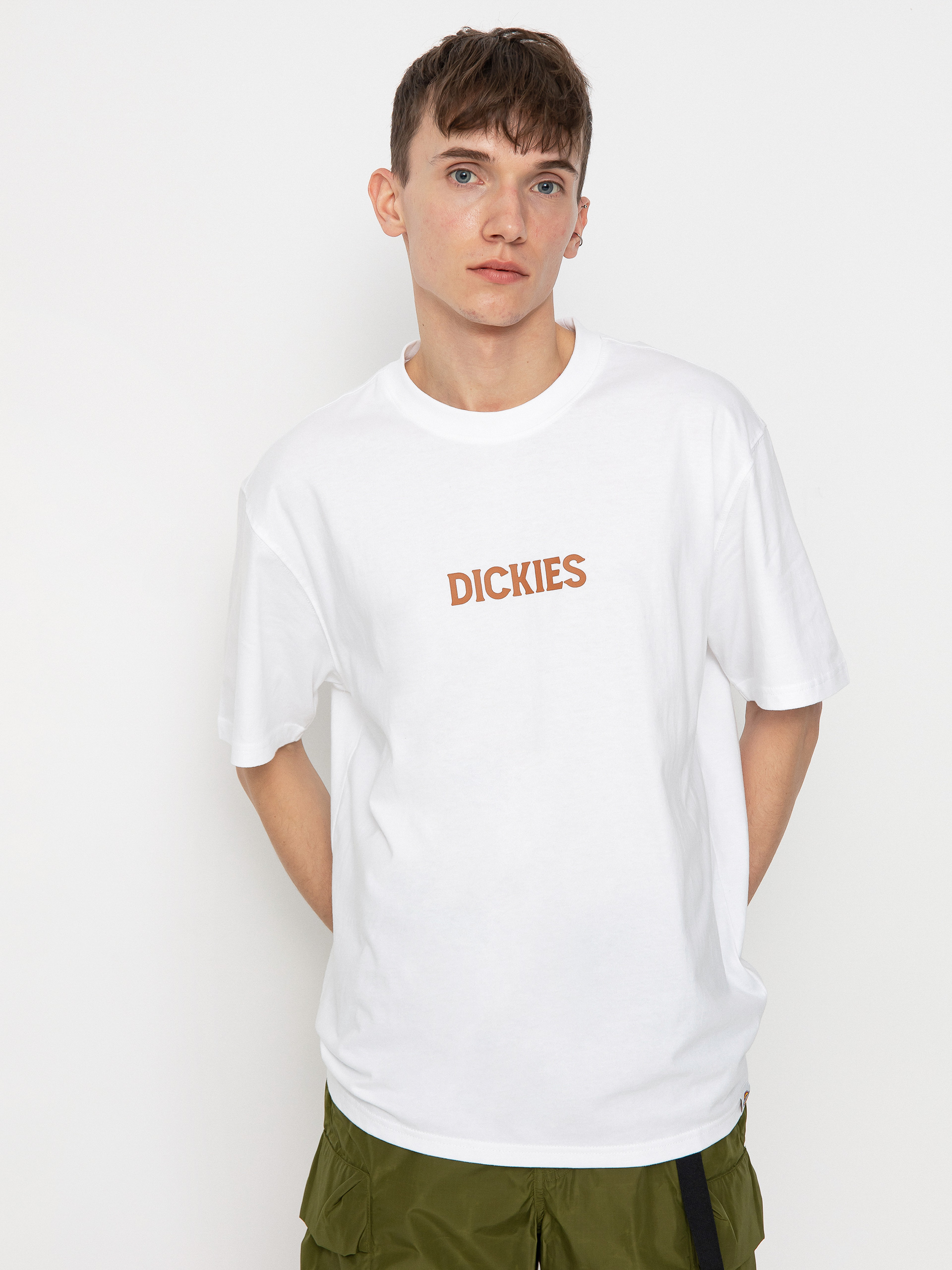 Tričko Dickies Patrick Springs (white)