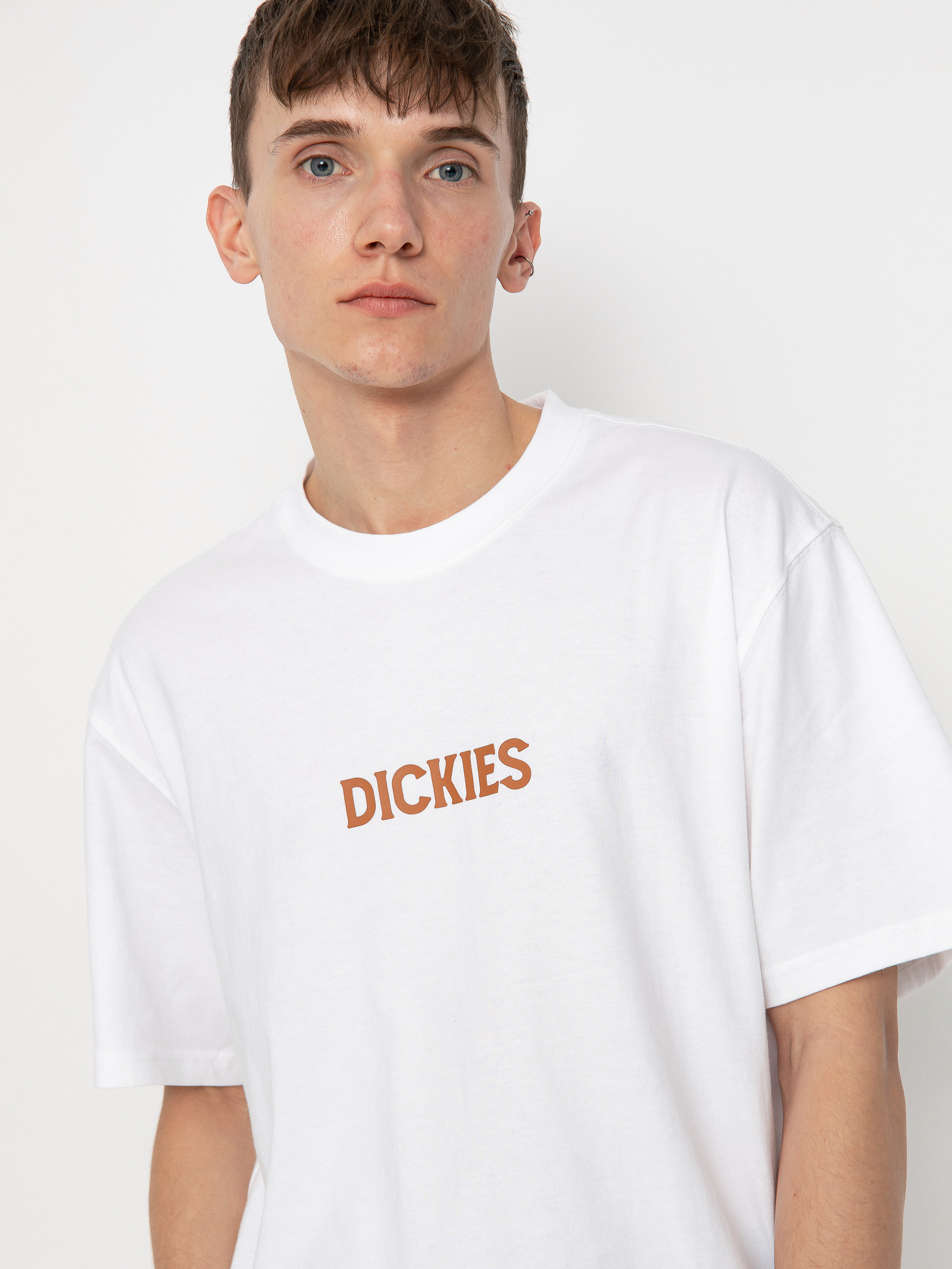 Tričko Dickies Patrick Springs (white)