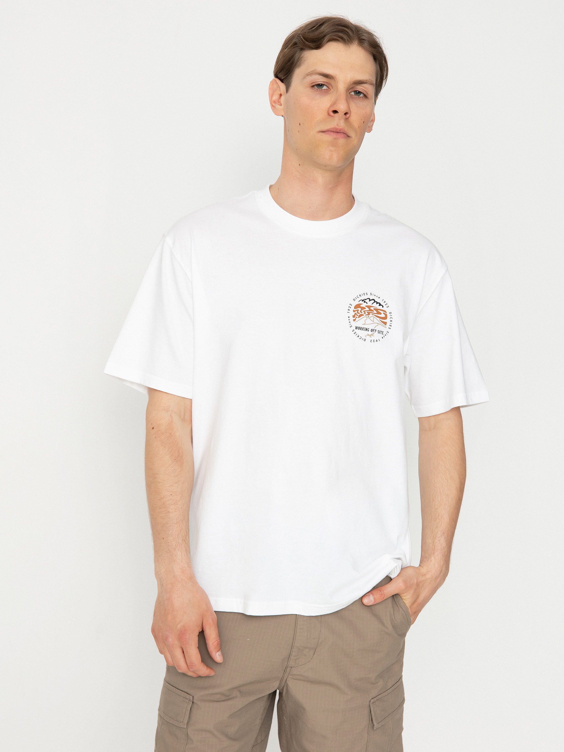 Tričko Dickies Stanardsville (white)