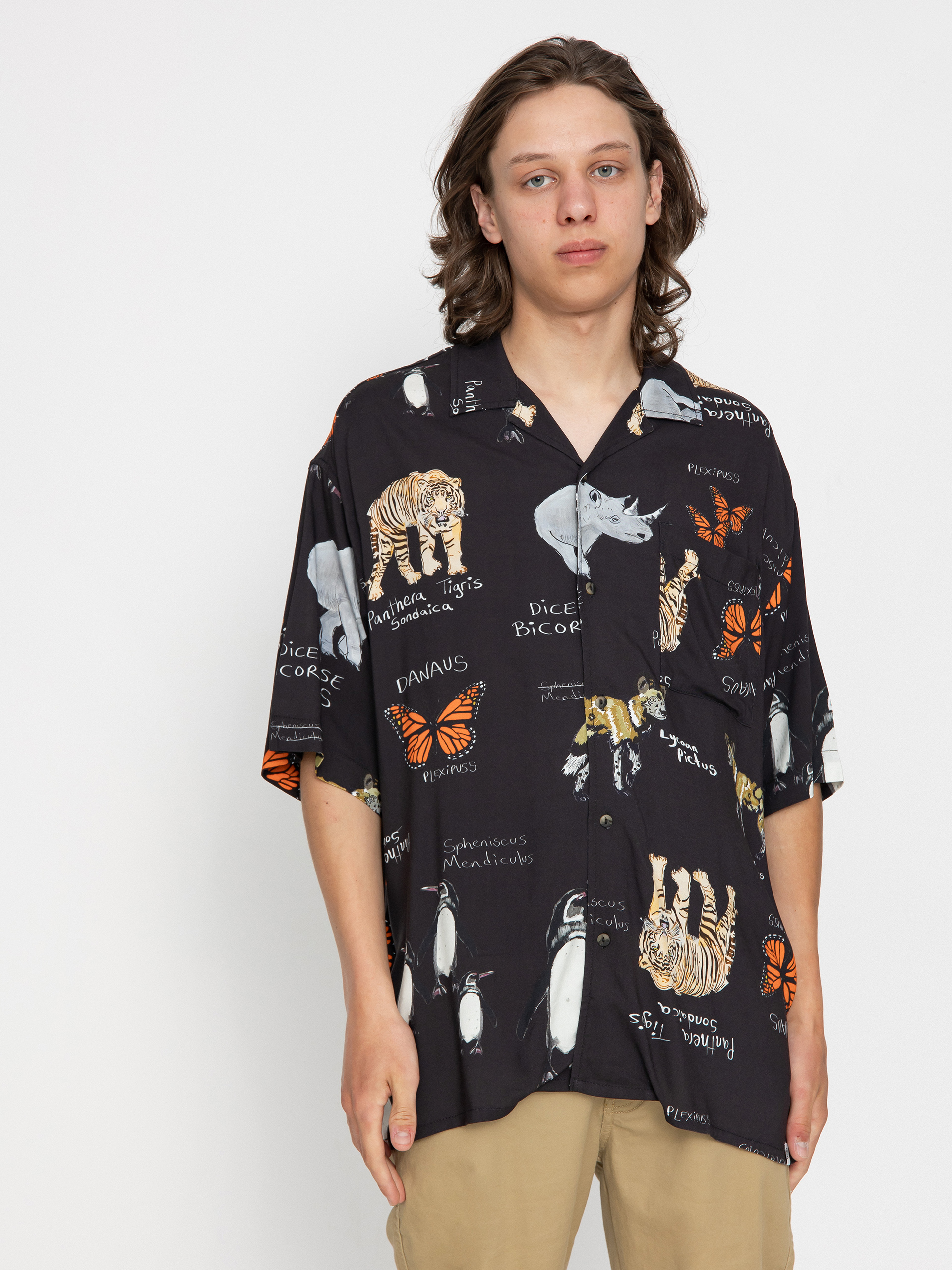 Kou0161eu013ea Element Resort (inside out species)