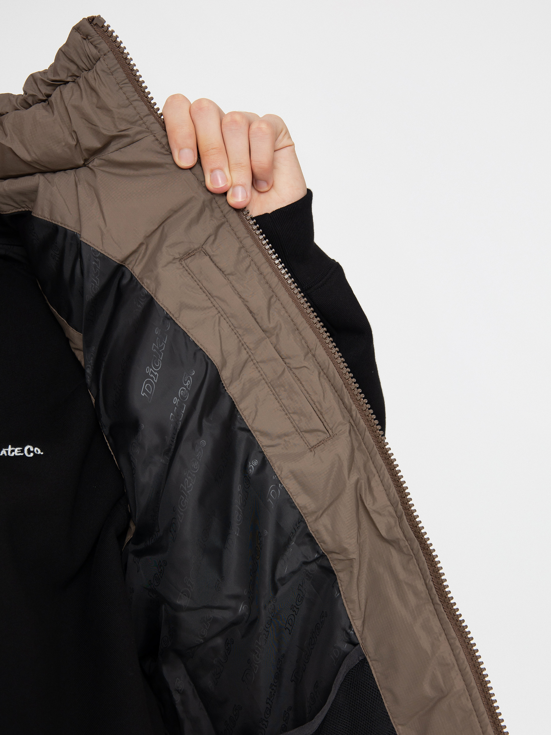 Vesta Dickies Waldenburg (mushroom)