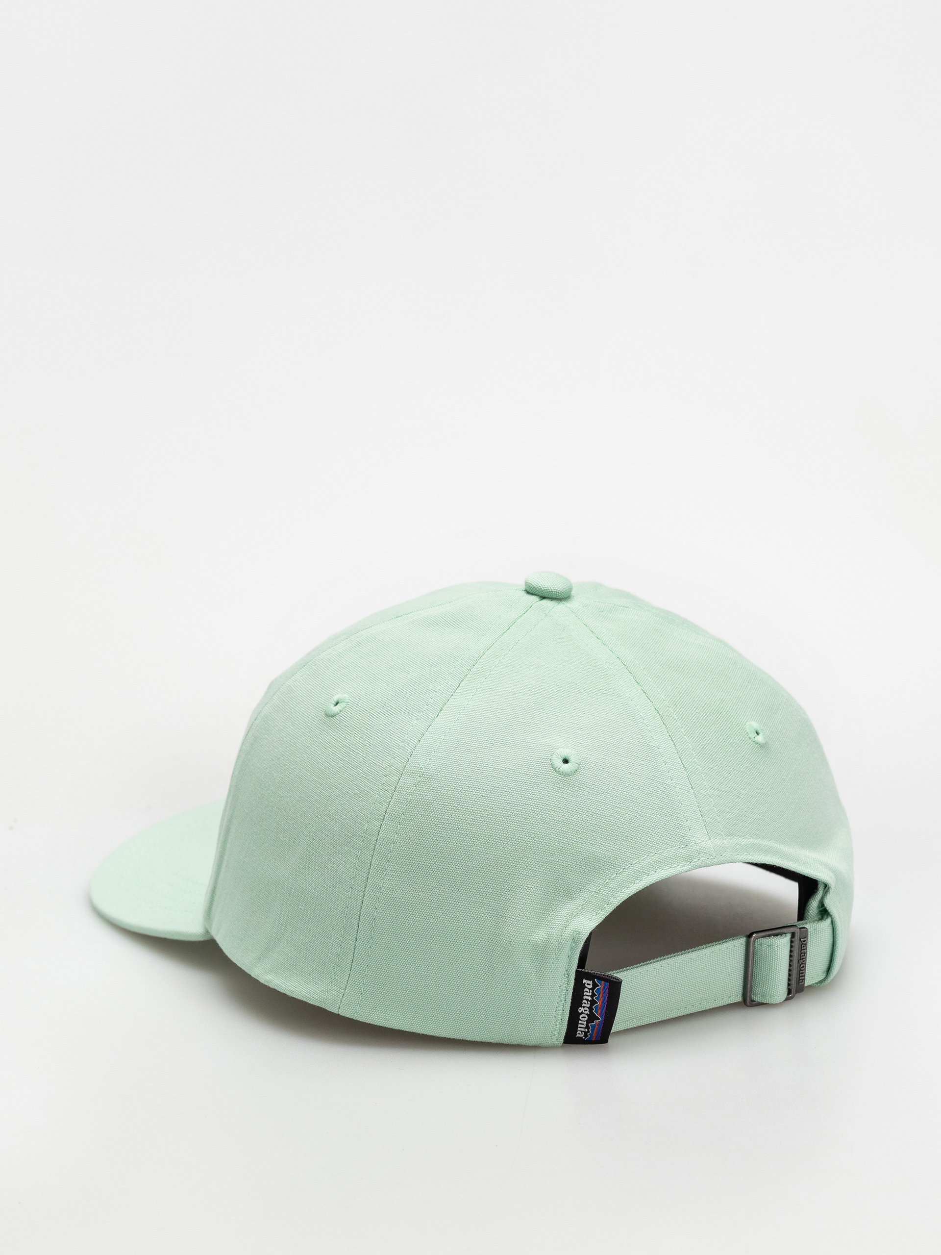 Šiltovka Patagonia P 6 Label Trad (rinsed green)
