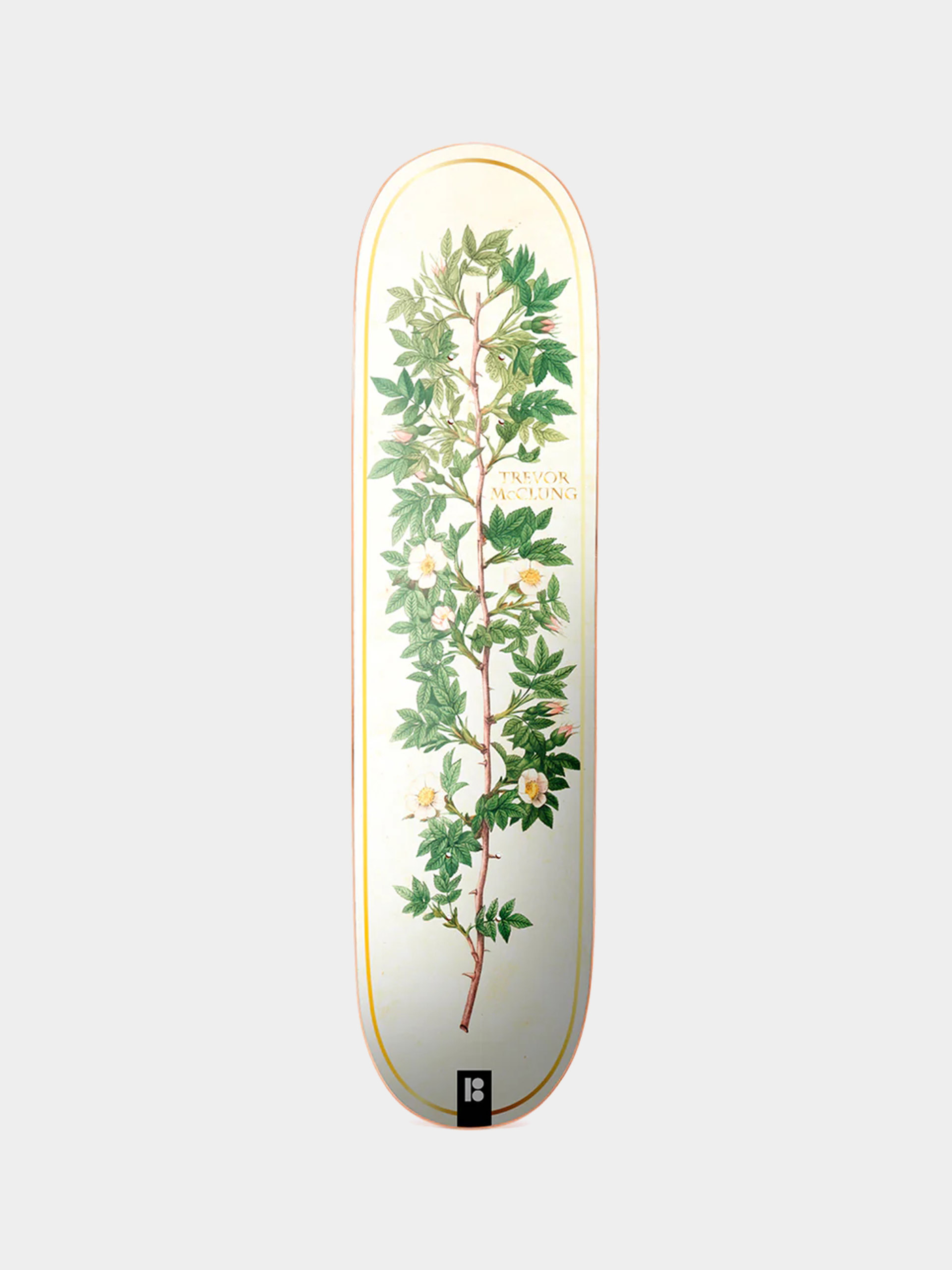 Doska Plan B Bloom Mcclung (white/green)