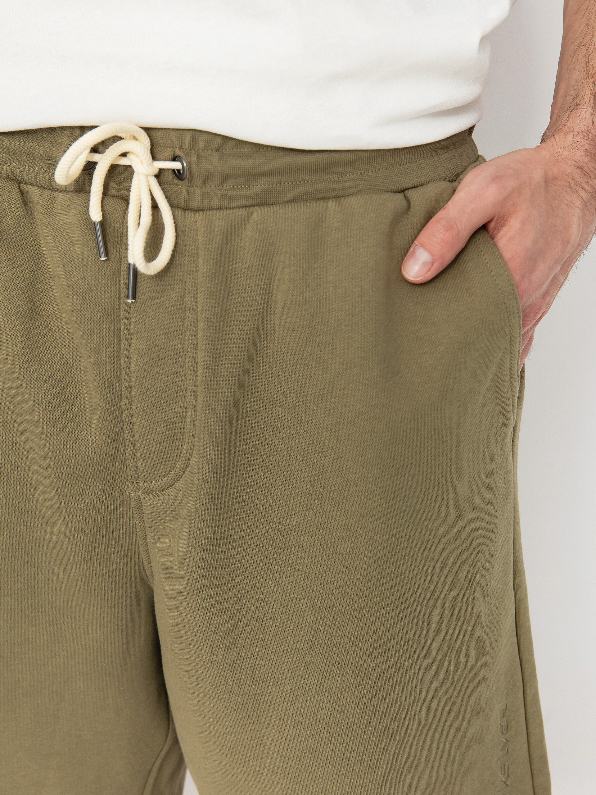 Kraťasy Quiksilver Salt Water (aloe)