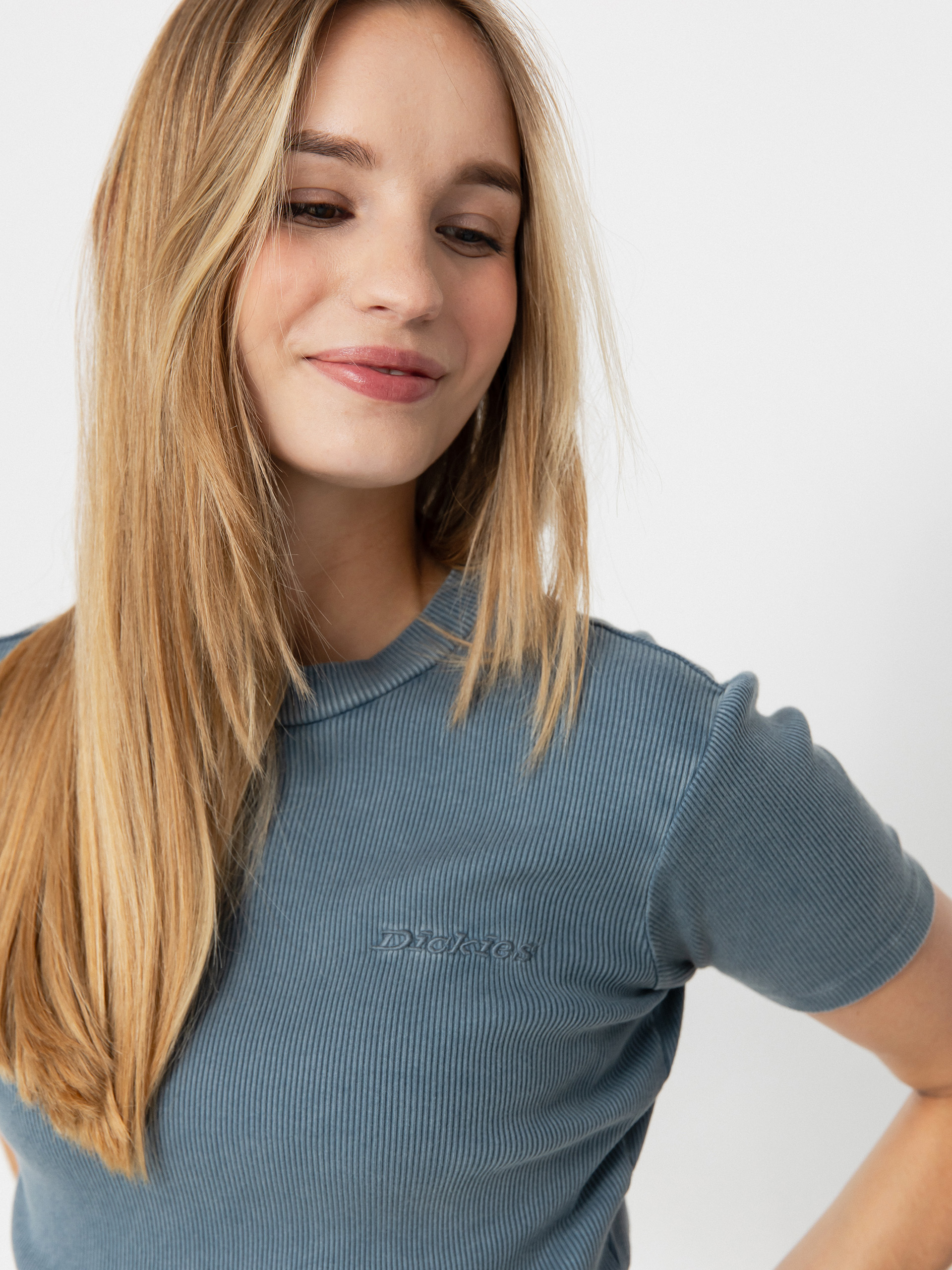 Tričko Dickies Plentywood Wmn (stormy weather)