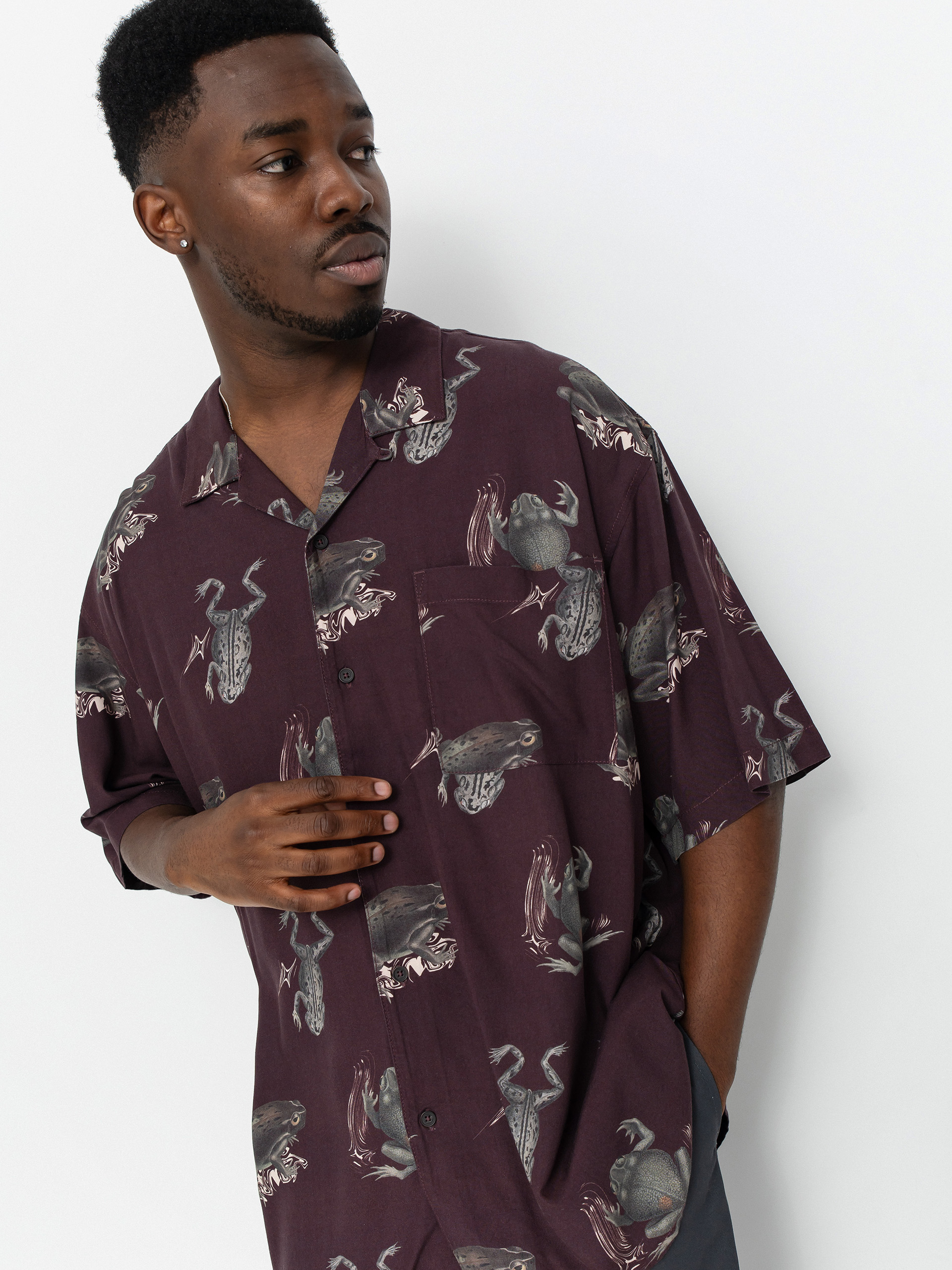 Kou0161eu013ea Element Resort (toads)