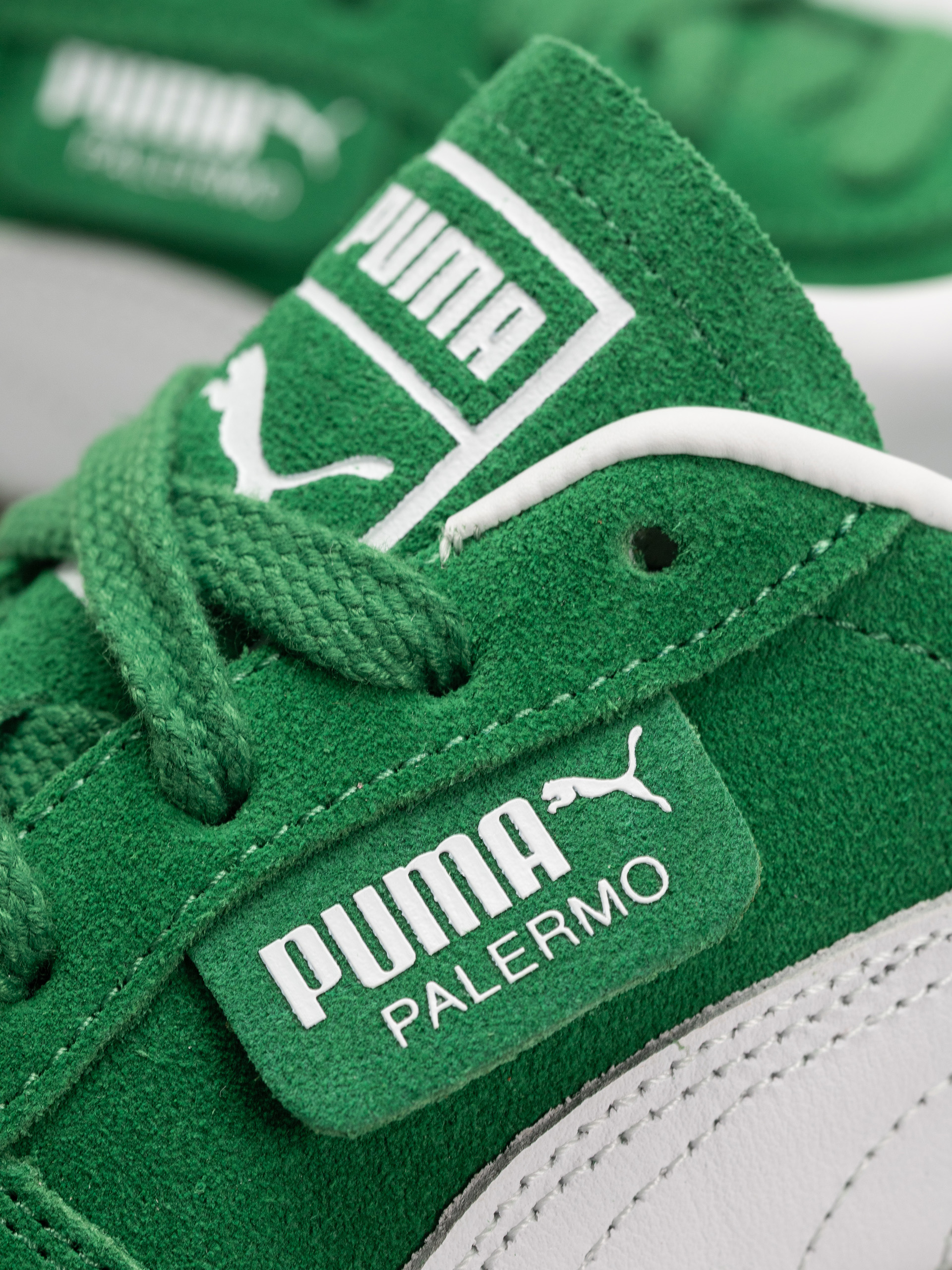 Topánky Puma Palermo (archive green/puma white)