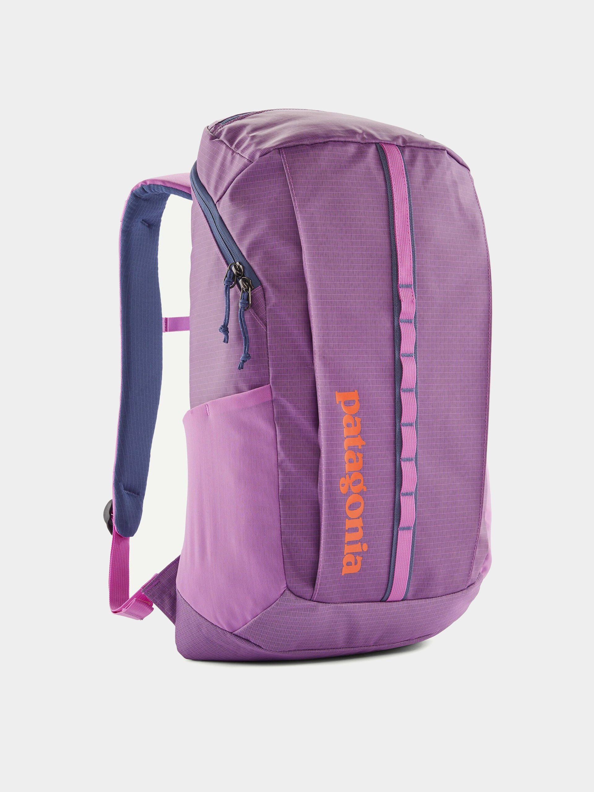 Batoh Patagonia Black Hole Pack 25L (brisk purple)