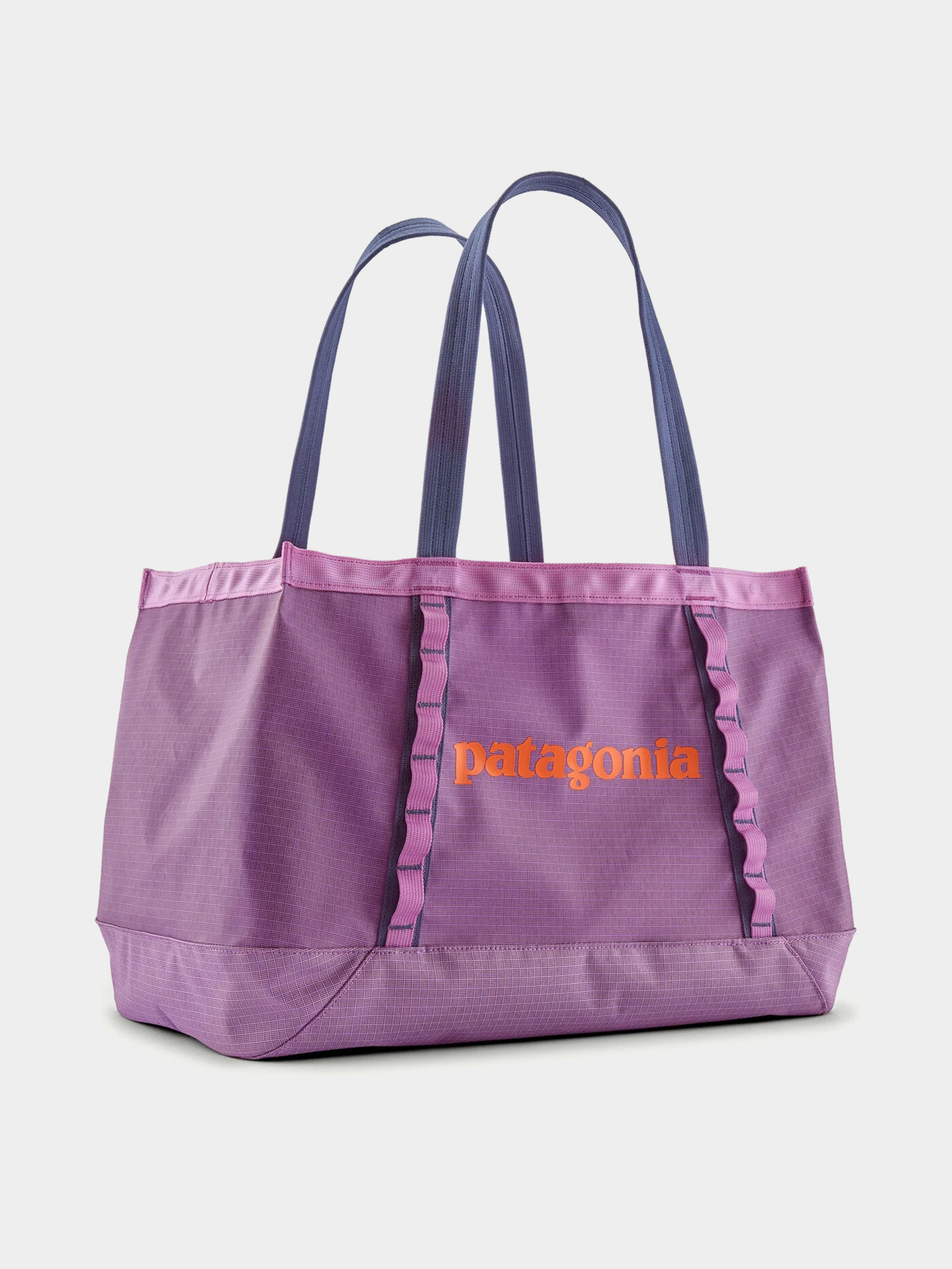 Tau0161ka Patagonia Black Hole Tote 25L (brisk purple)