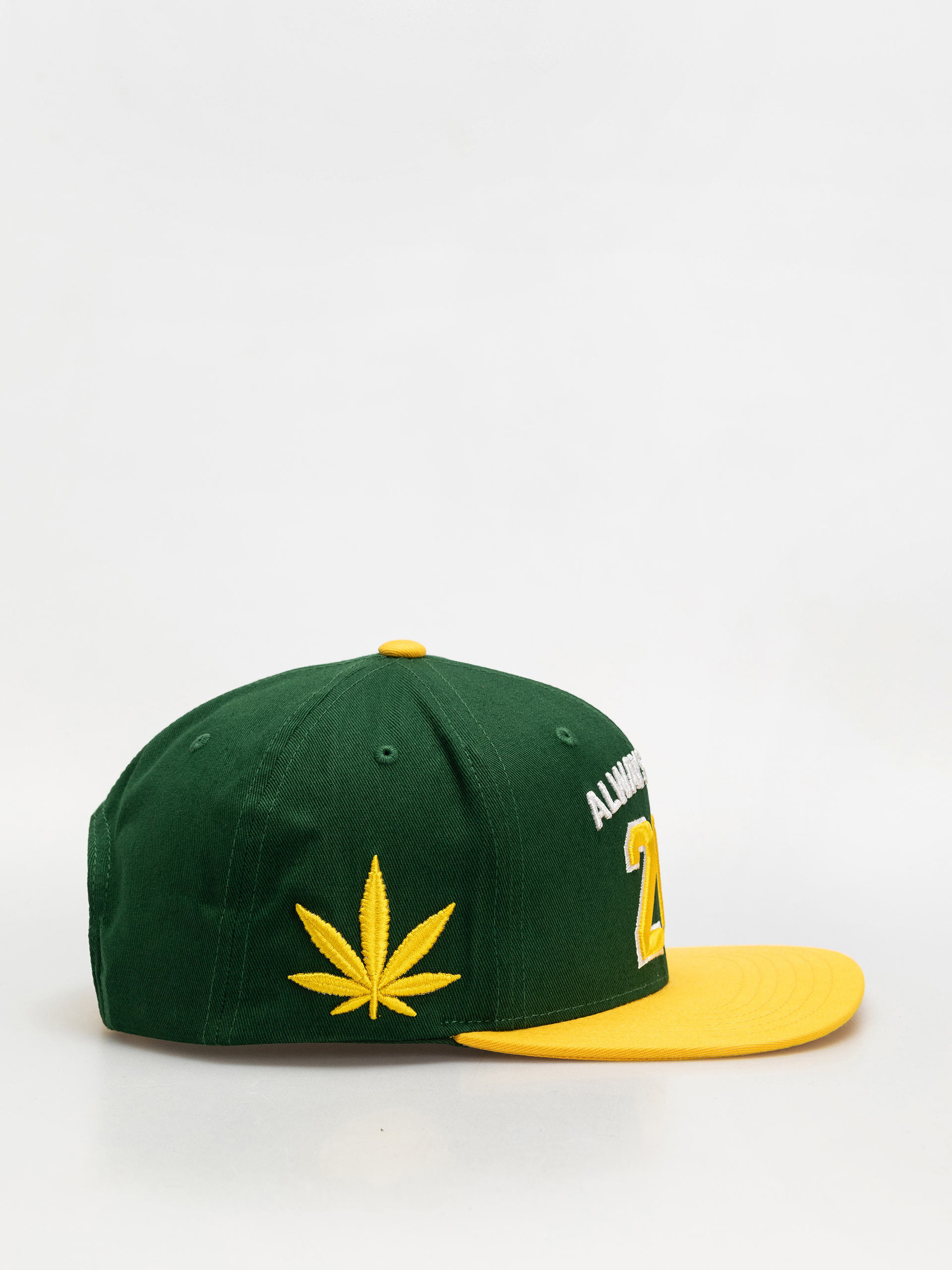 Šiltovka DGK Team Indica Snap (green)