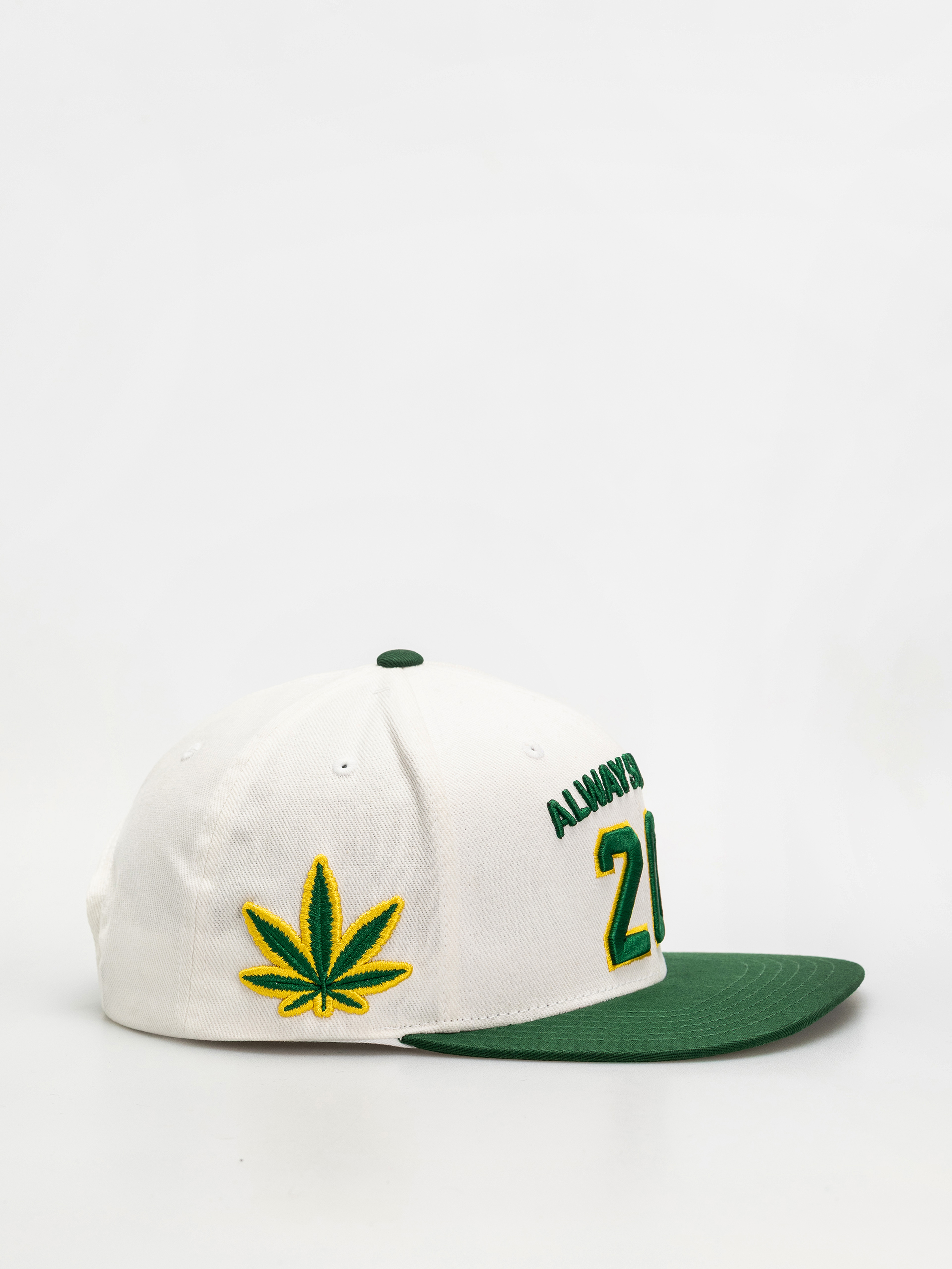 Šiltovka DGK Team Indica Snap (white)
