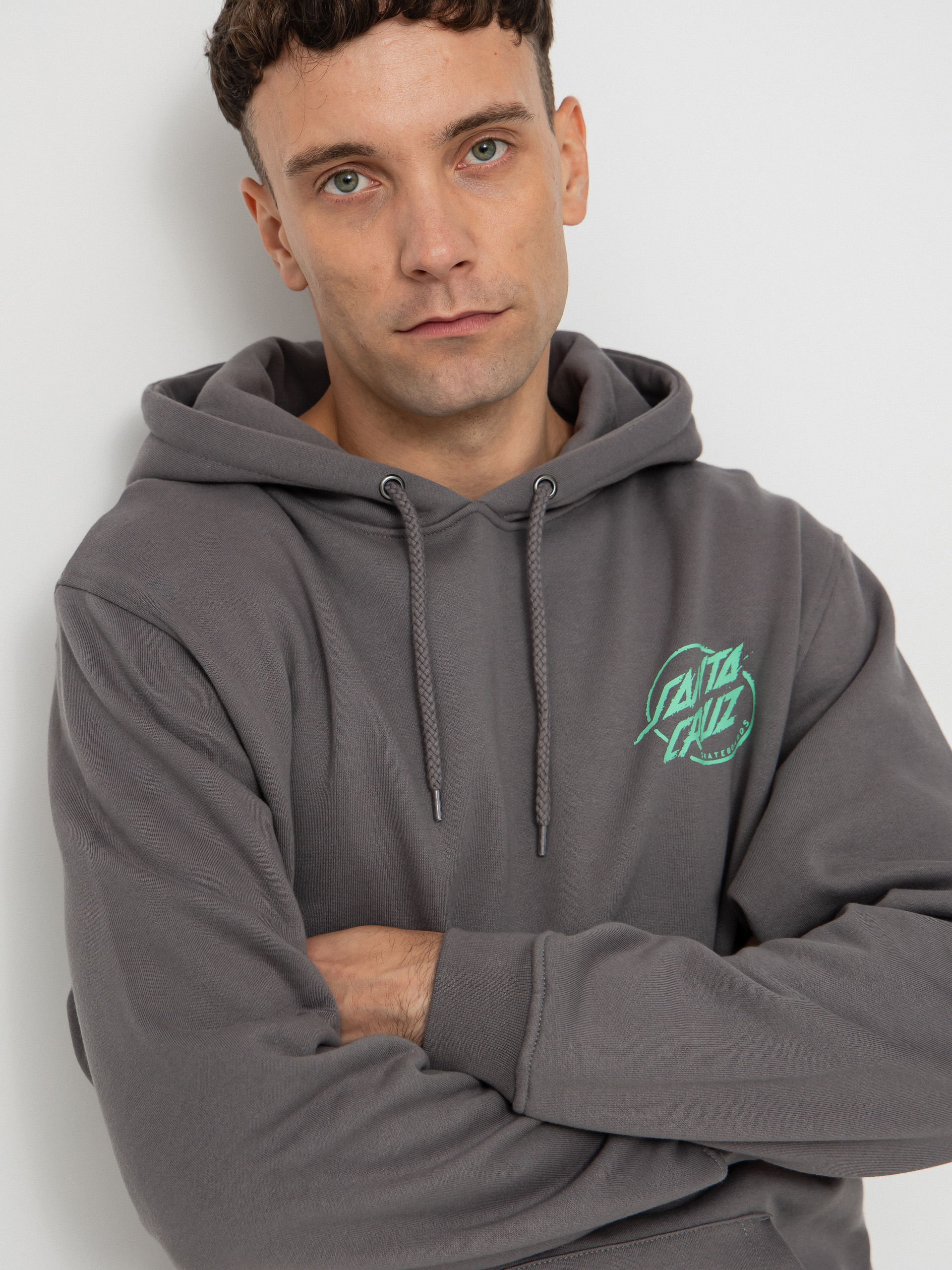 Mikina Santa Cruz Wooten Cyber (flint)