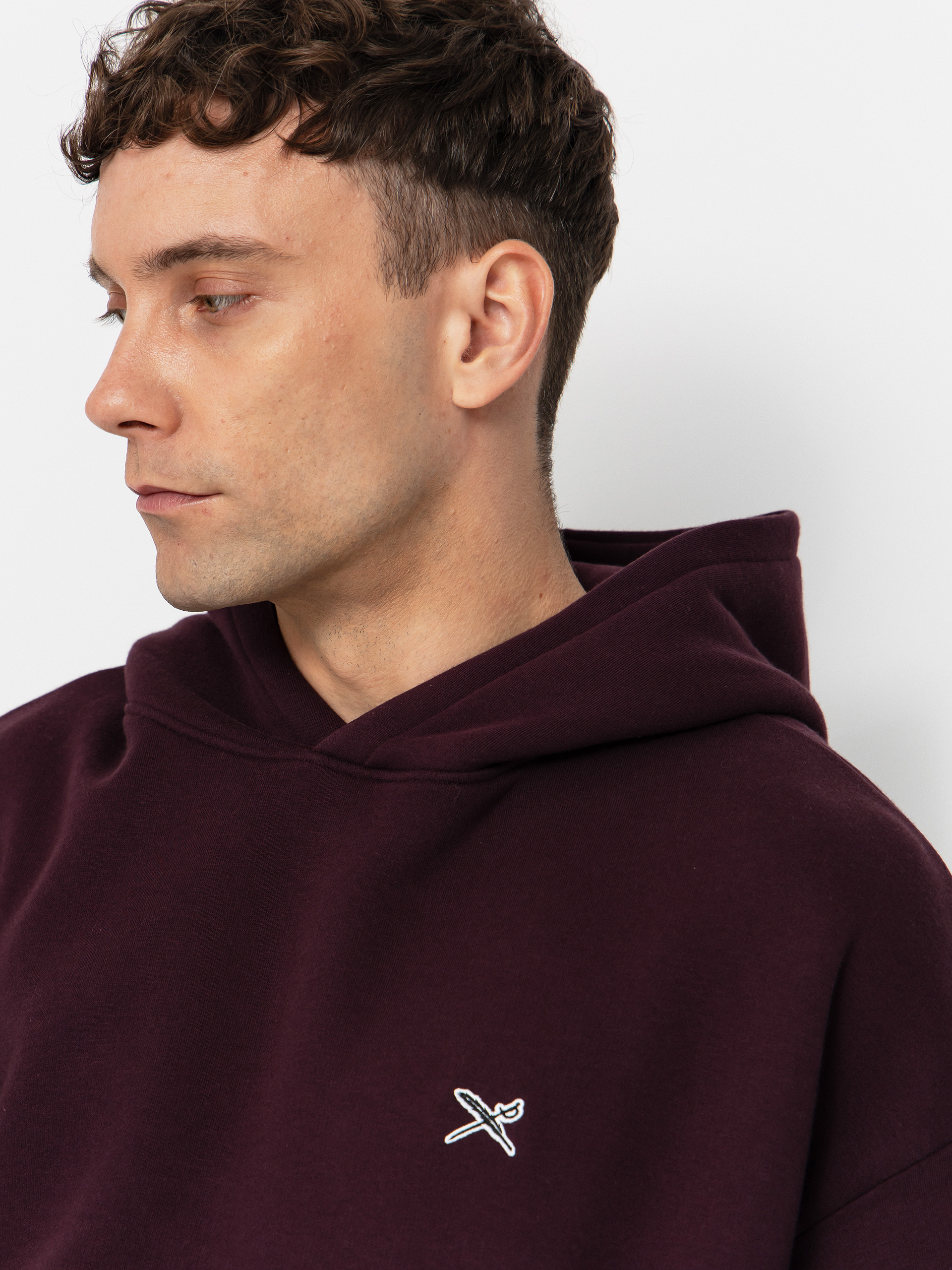 Mikina s kapucňou Iriedaily Flagloose HD (aubergine)