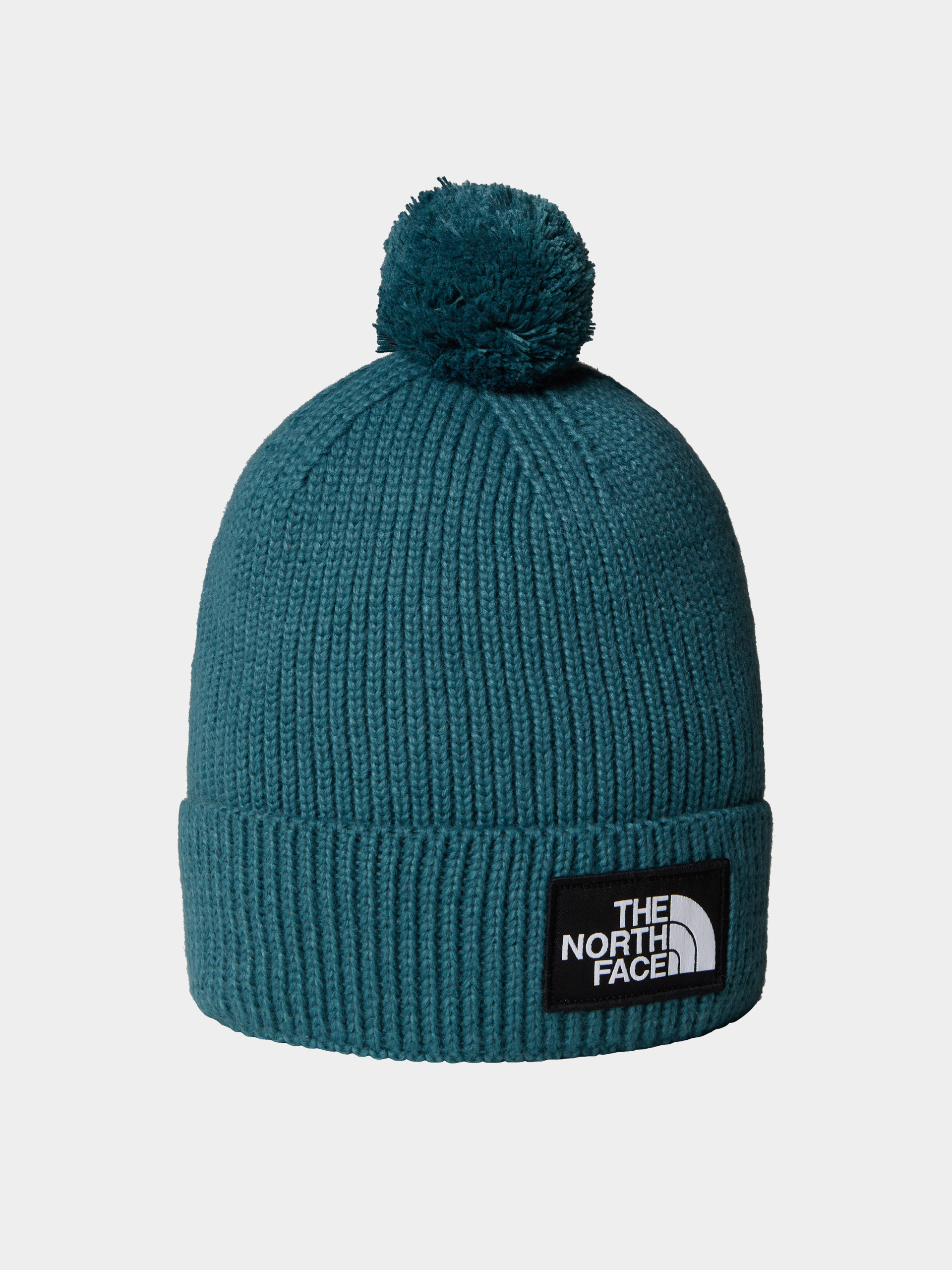 u010ciapka The North Face Tnf Logo Box Pom (space)