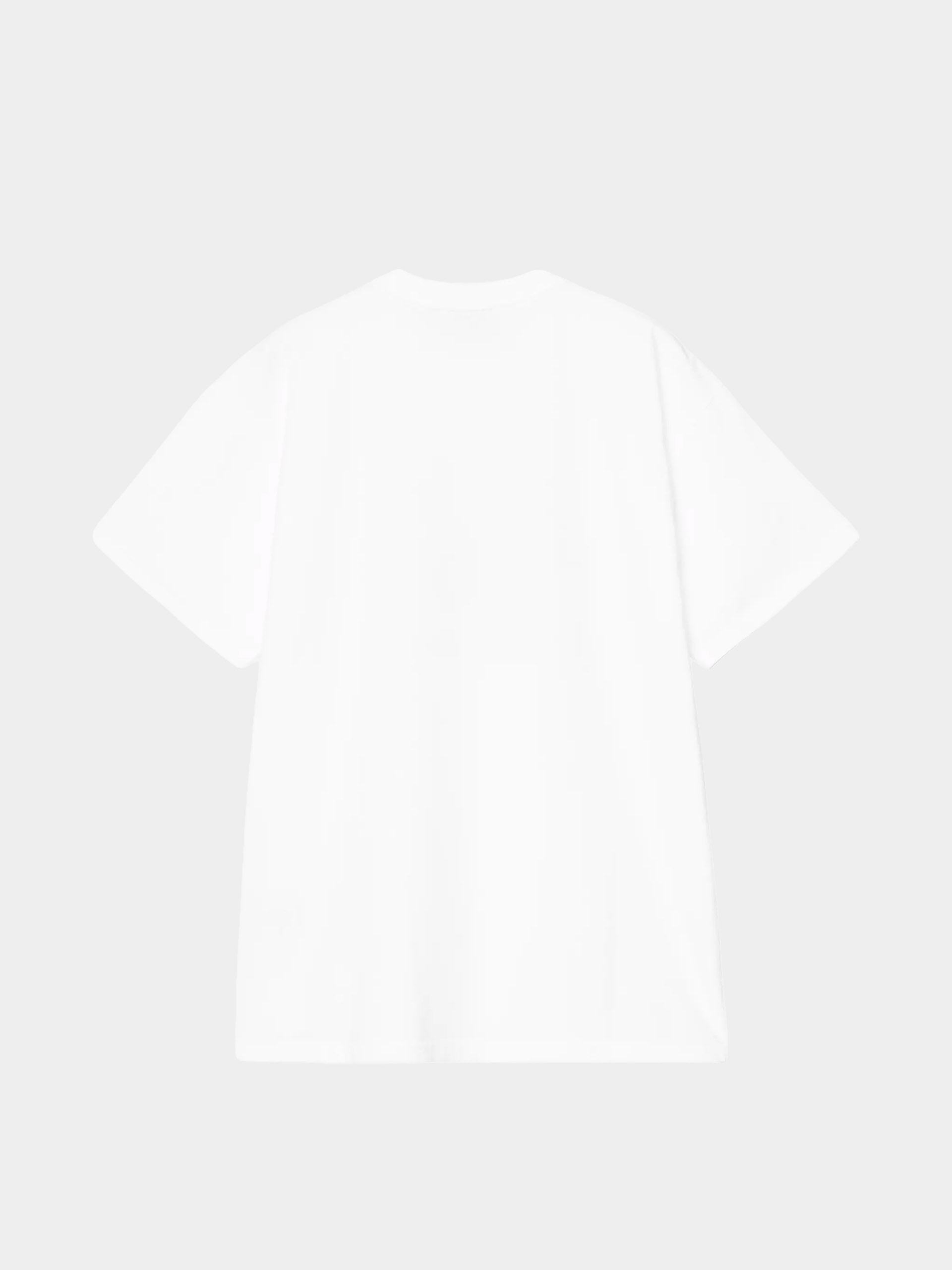 Tričko Carhartt WIP Coat Of Arms (white)