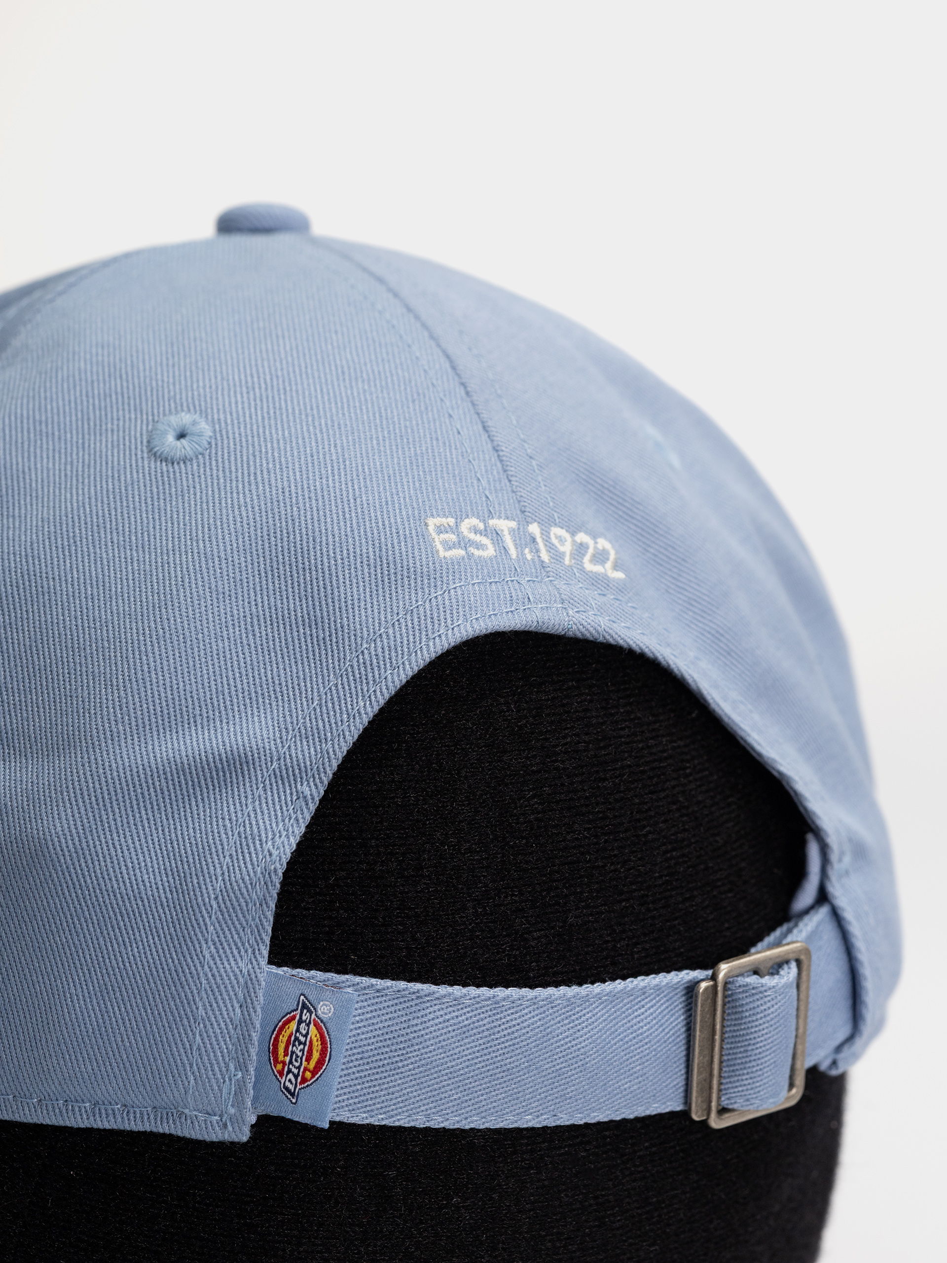 Šiltovka Dickies Essential Dad (endless sky)