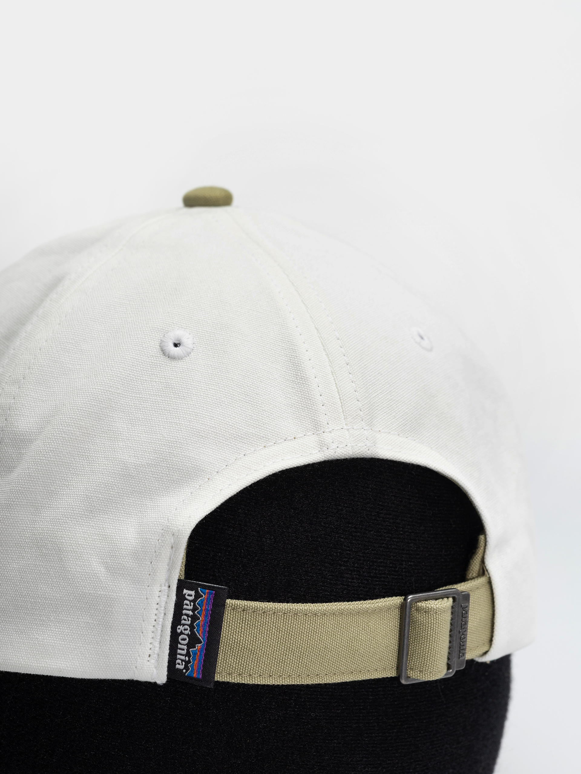 Šiltovka Patagonia Fitz Roy Icon Trad (text logo/birch white w/gumtree green)