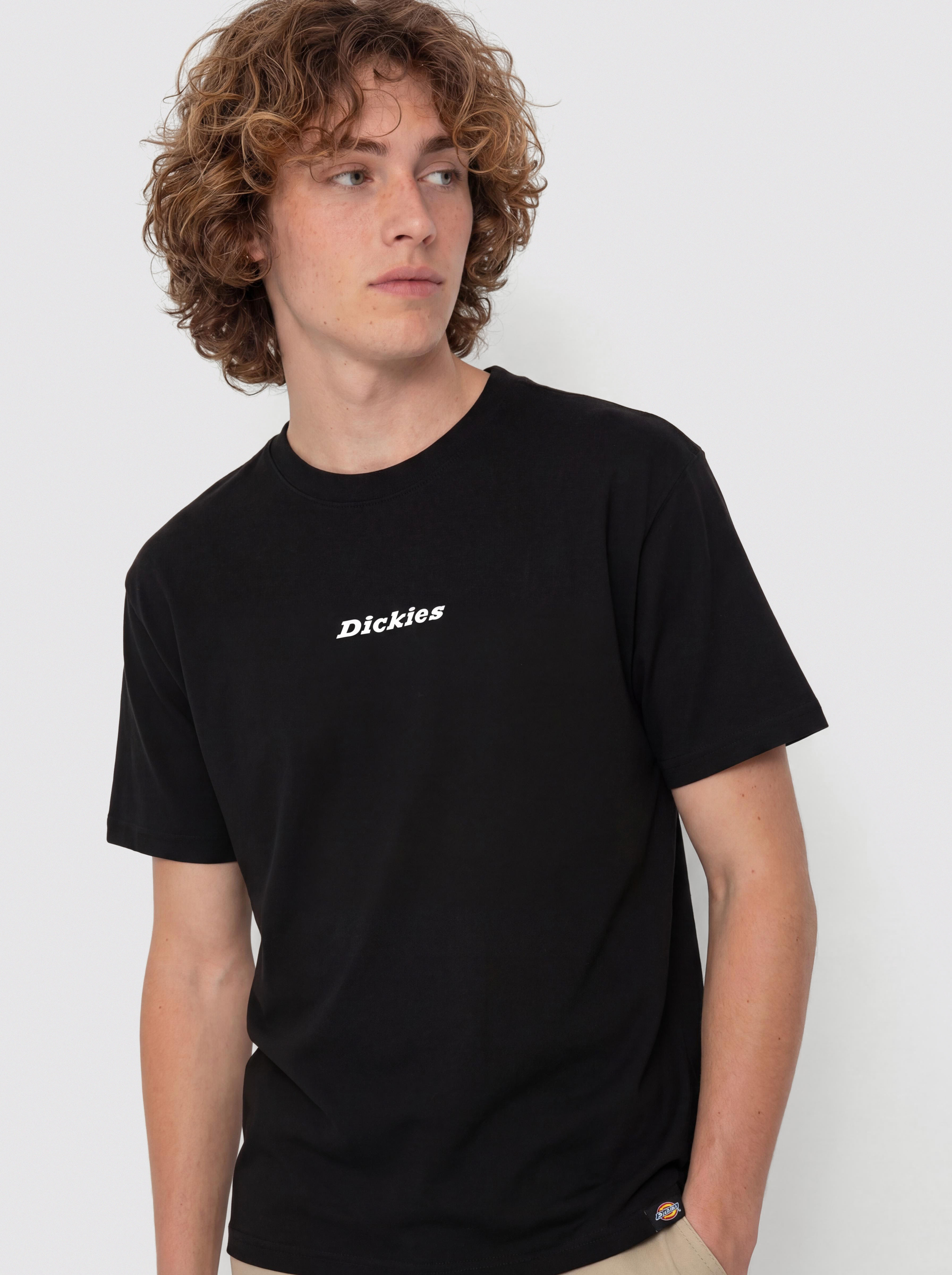 Tričko Dickies Enterprise (black)