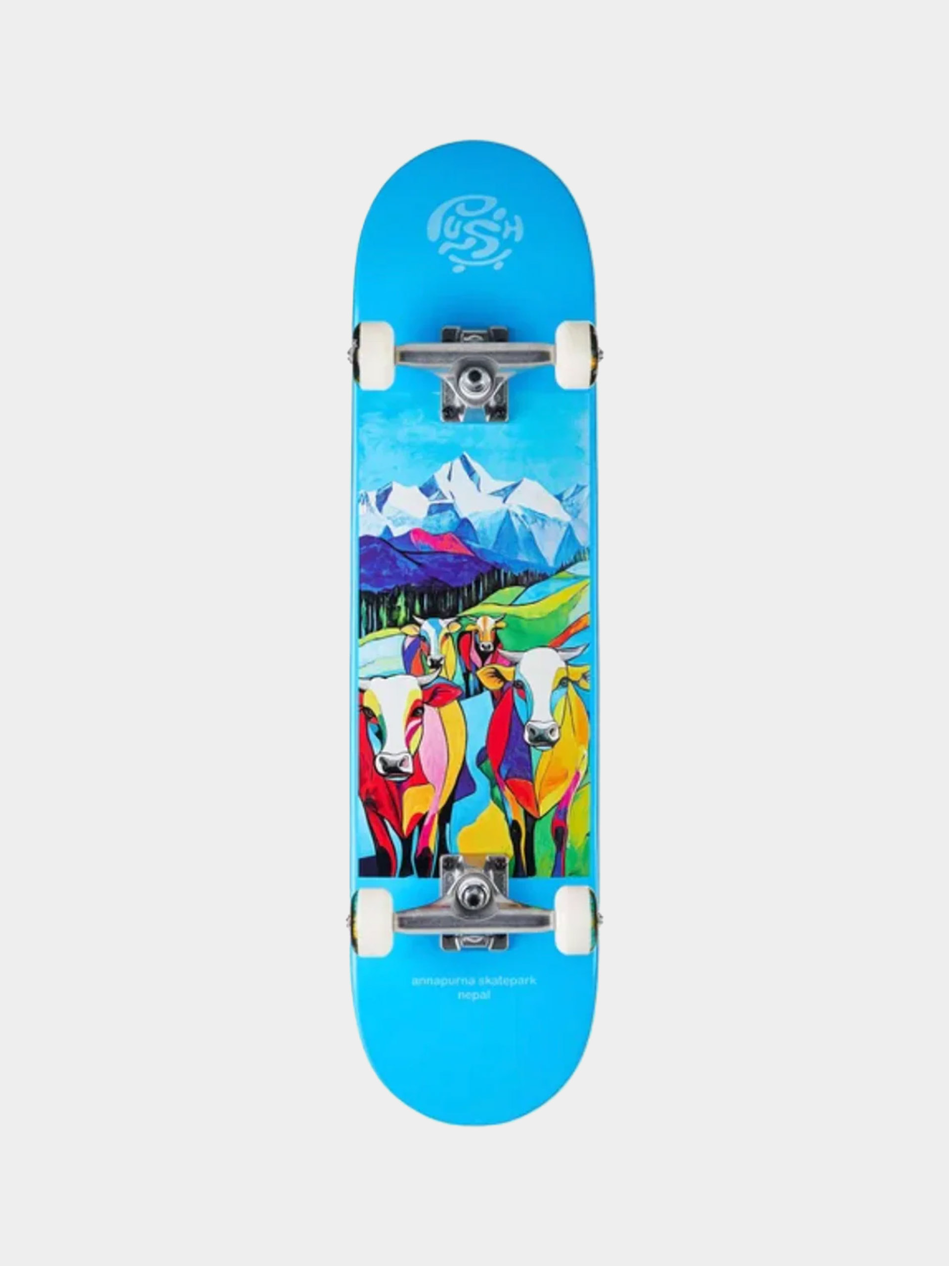 Skateboard Push Nepal (light blue)