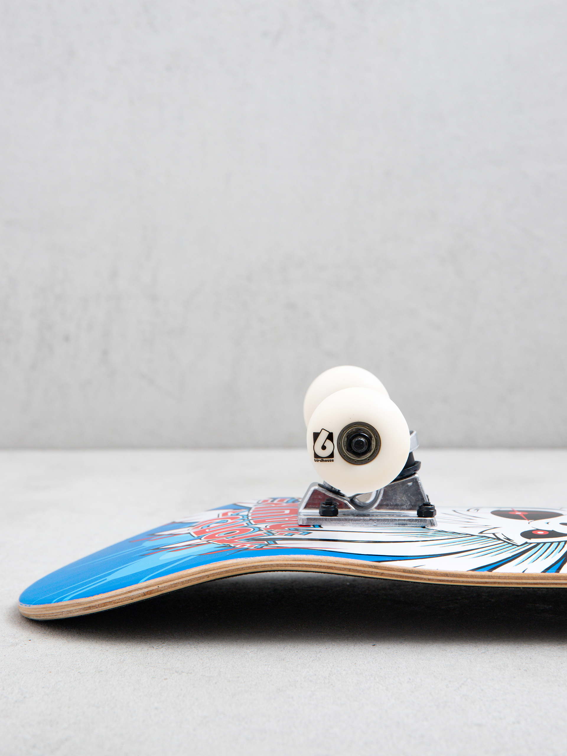 Skateboard Birdhouse Hawk Spiral (blue)