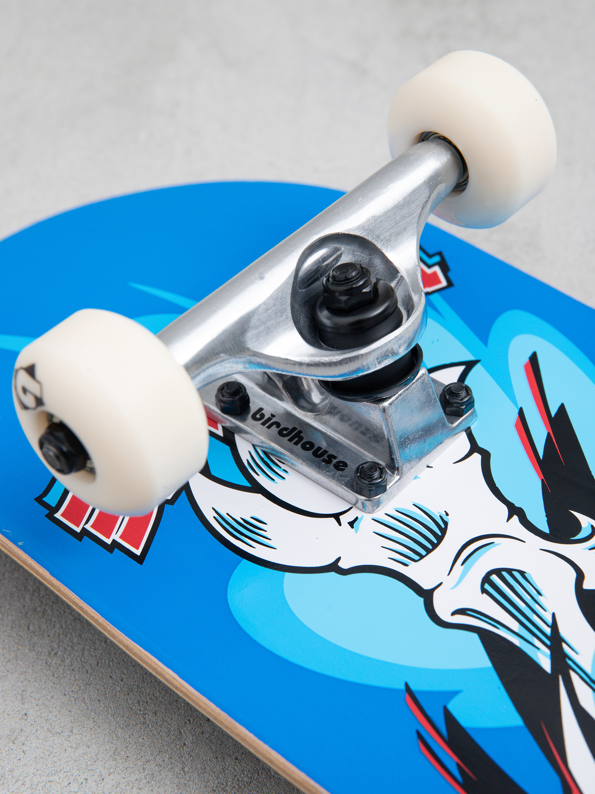 Skateboard Birdhouse Hawk Spiral (blue)