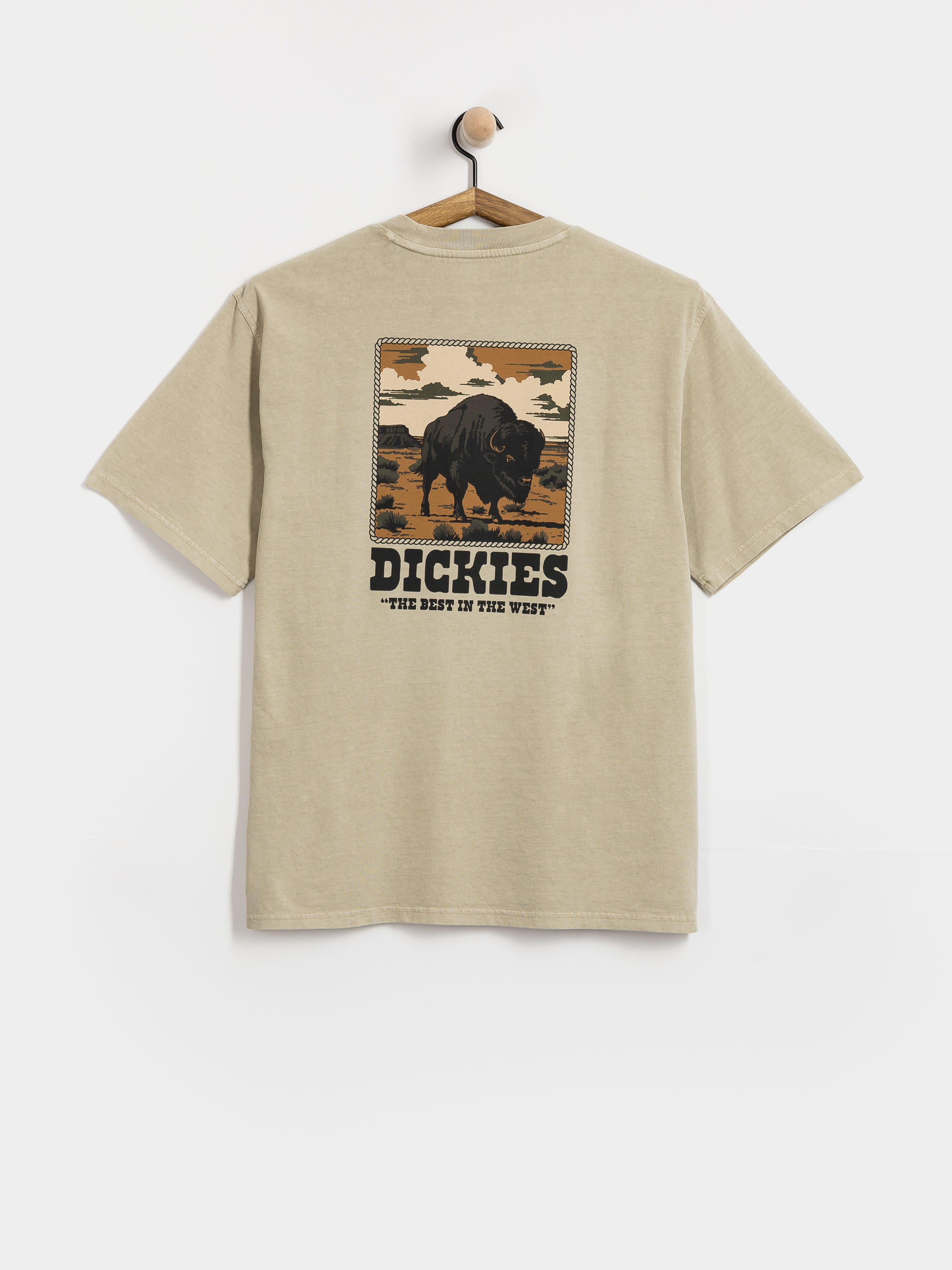 Triu010dko Dickies Darrtown (eucalyptus)