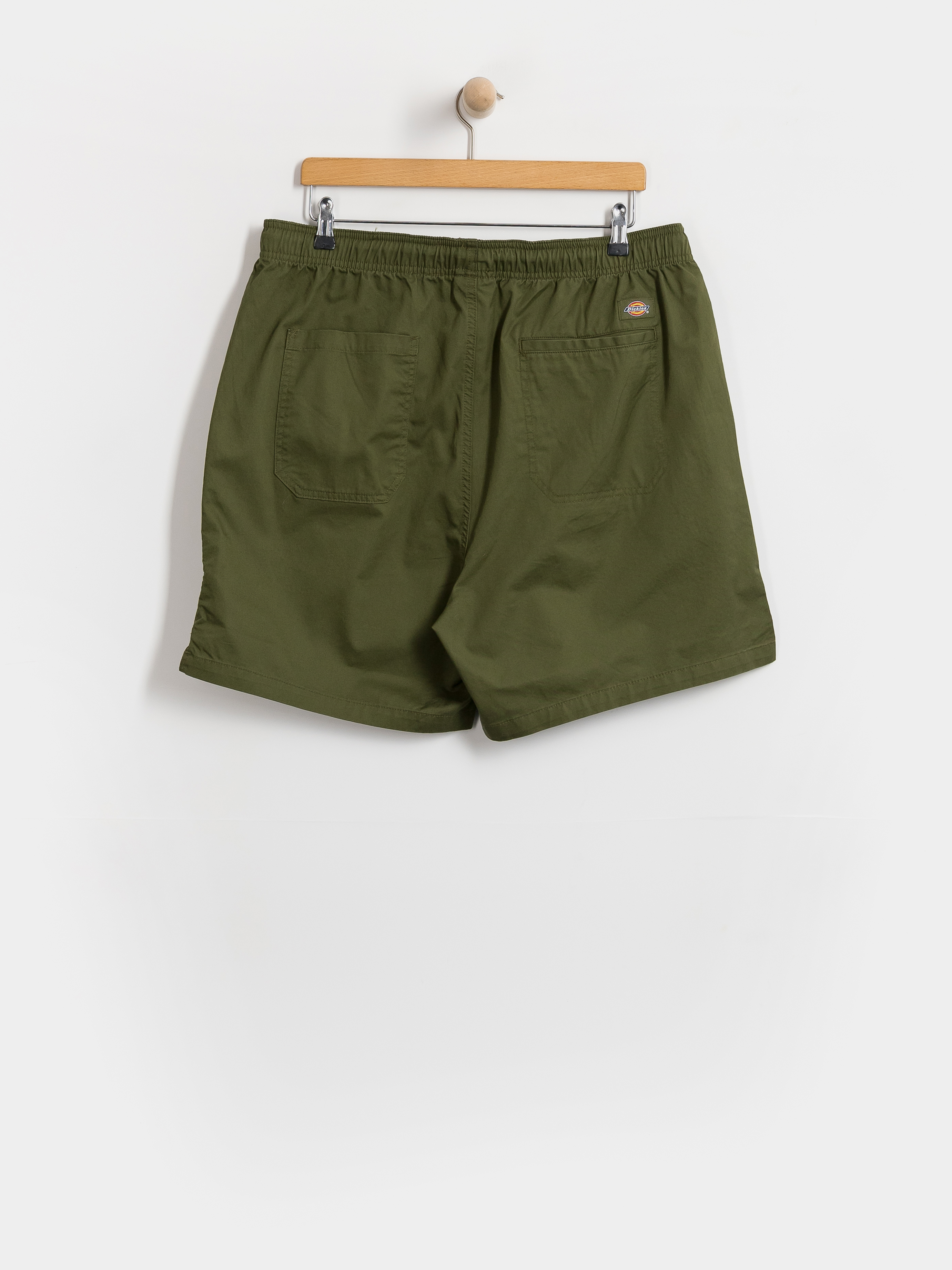 Kraťasy Dickies Pelican Rapids (cypress)
