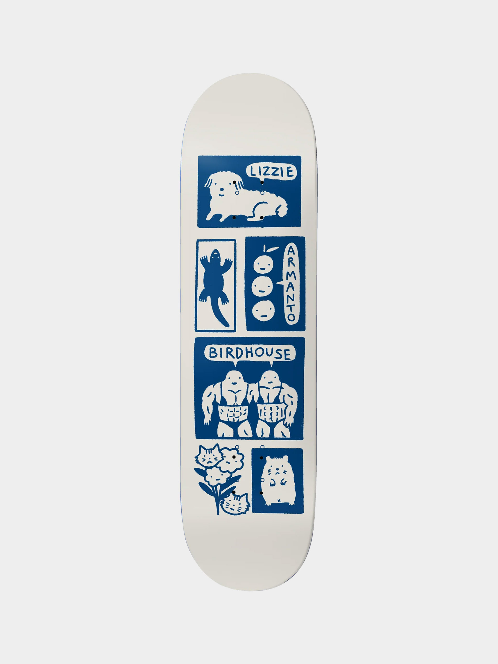 Doska Birdhouse Armanto Catalina