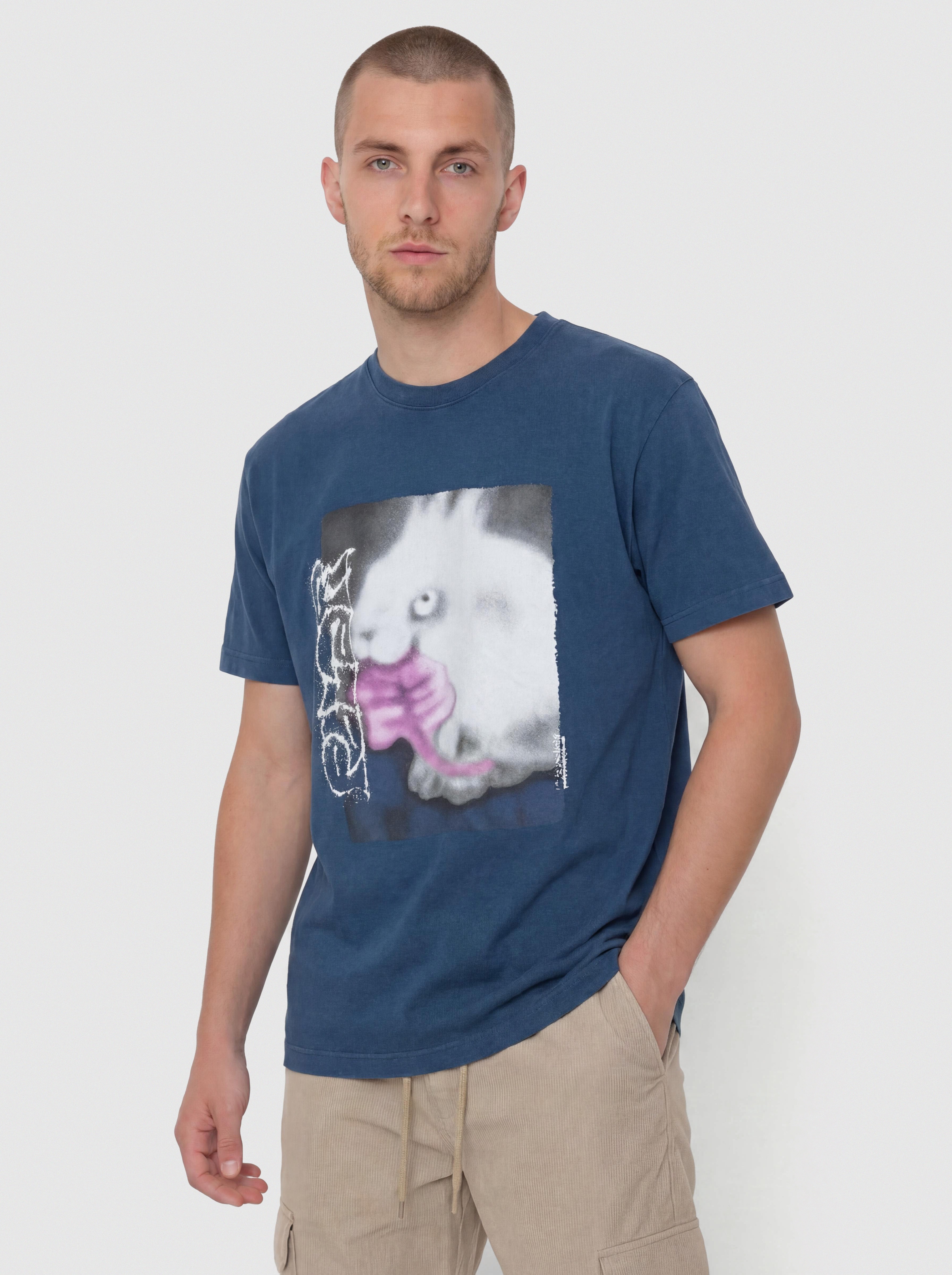 Triu010dko Polar Skate Rabbit (washed blue)
