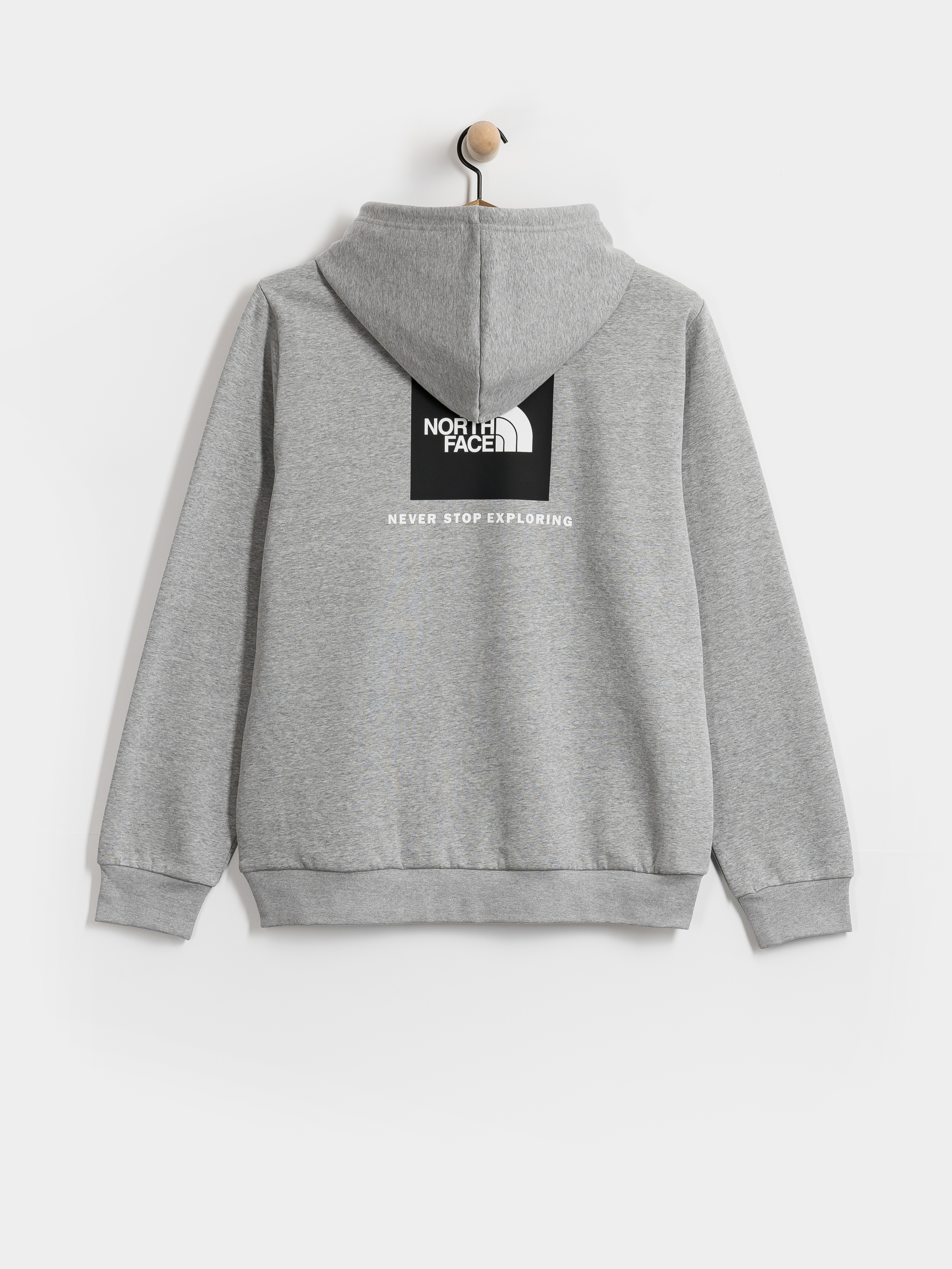Mikina s kapucňou The North Face Evolution Box Nse Regular HD (tnf pale grey heather)