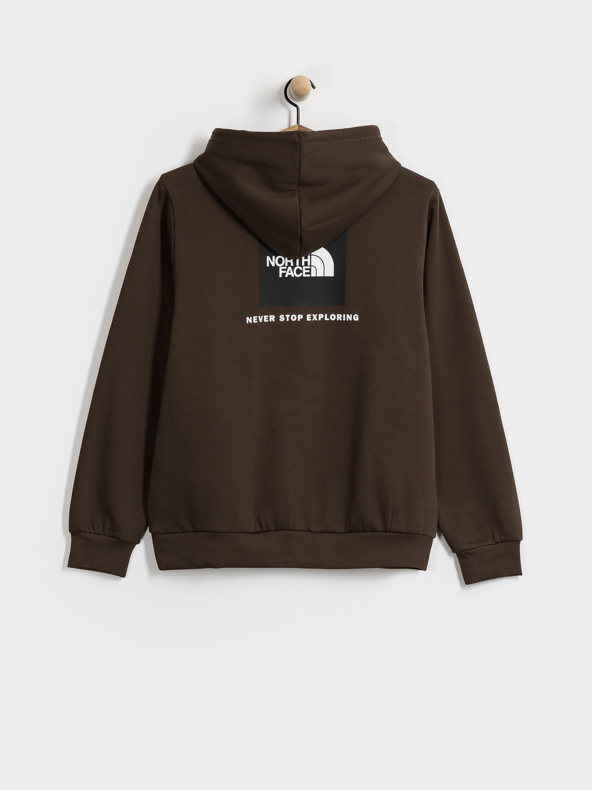 Mikina s kapucňou The North Face Evolution Box Nse Regular HD